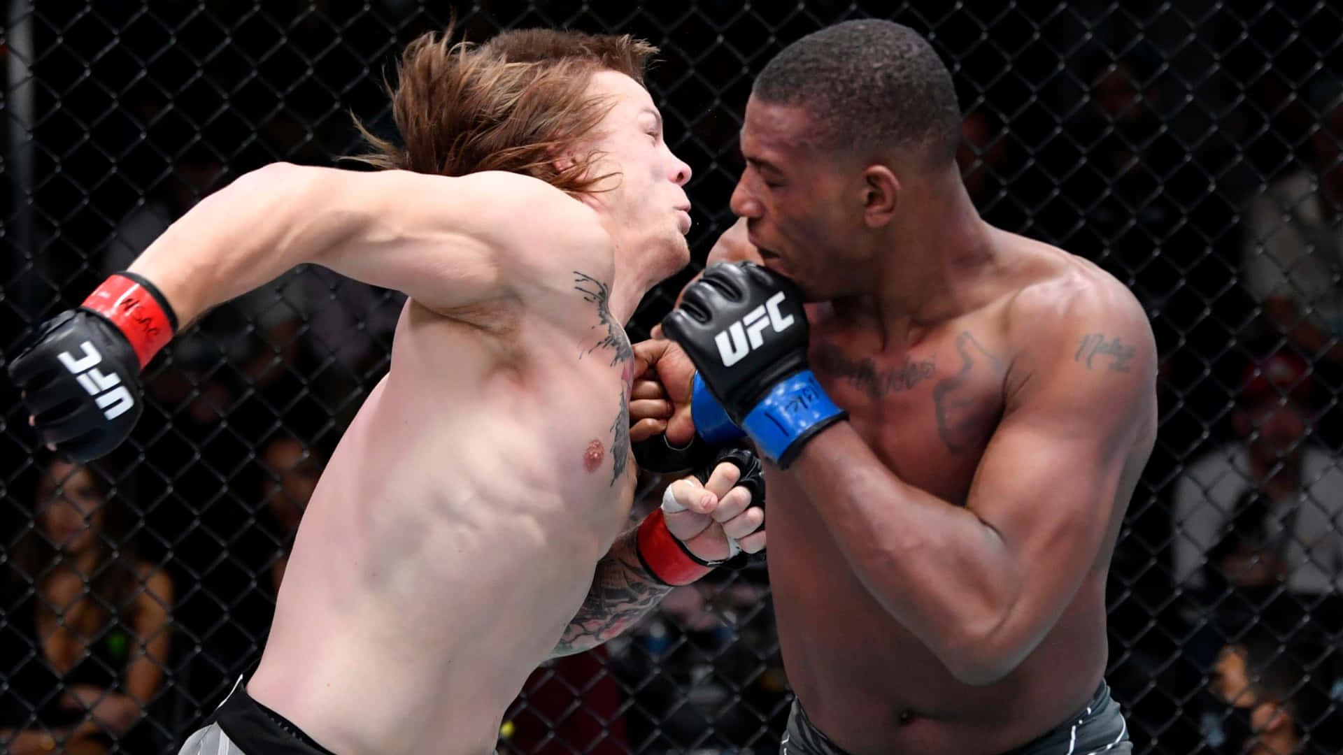 UFC Fighter Jimmy Crute Klar Til At Slå Modstander Levende Tapet Wallpaper