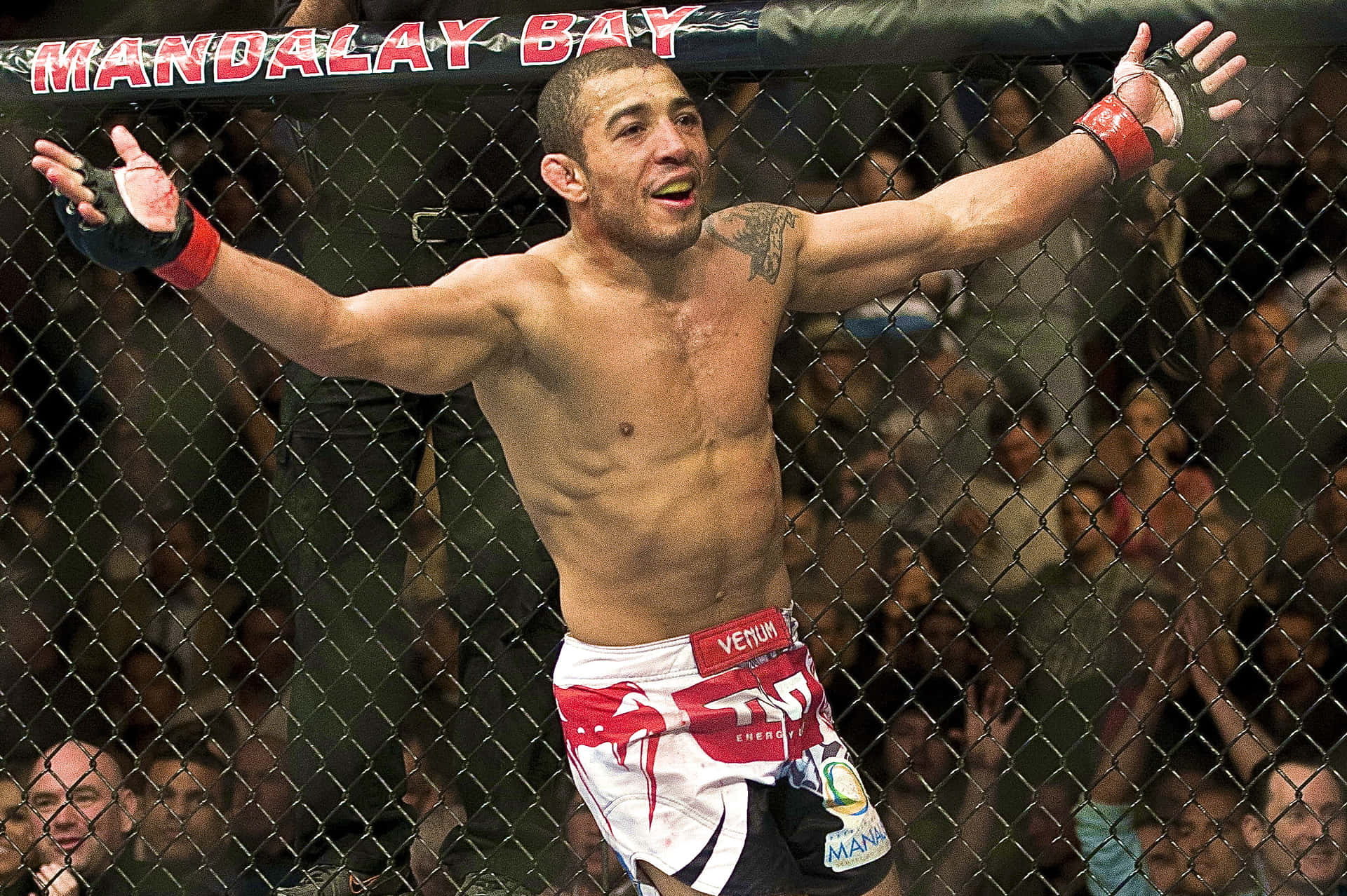 UFC Kæmper Jose Aldo Glade Wallpaper