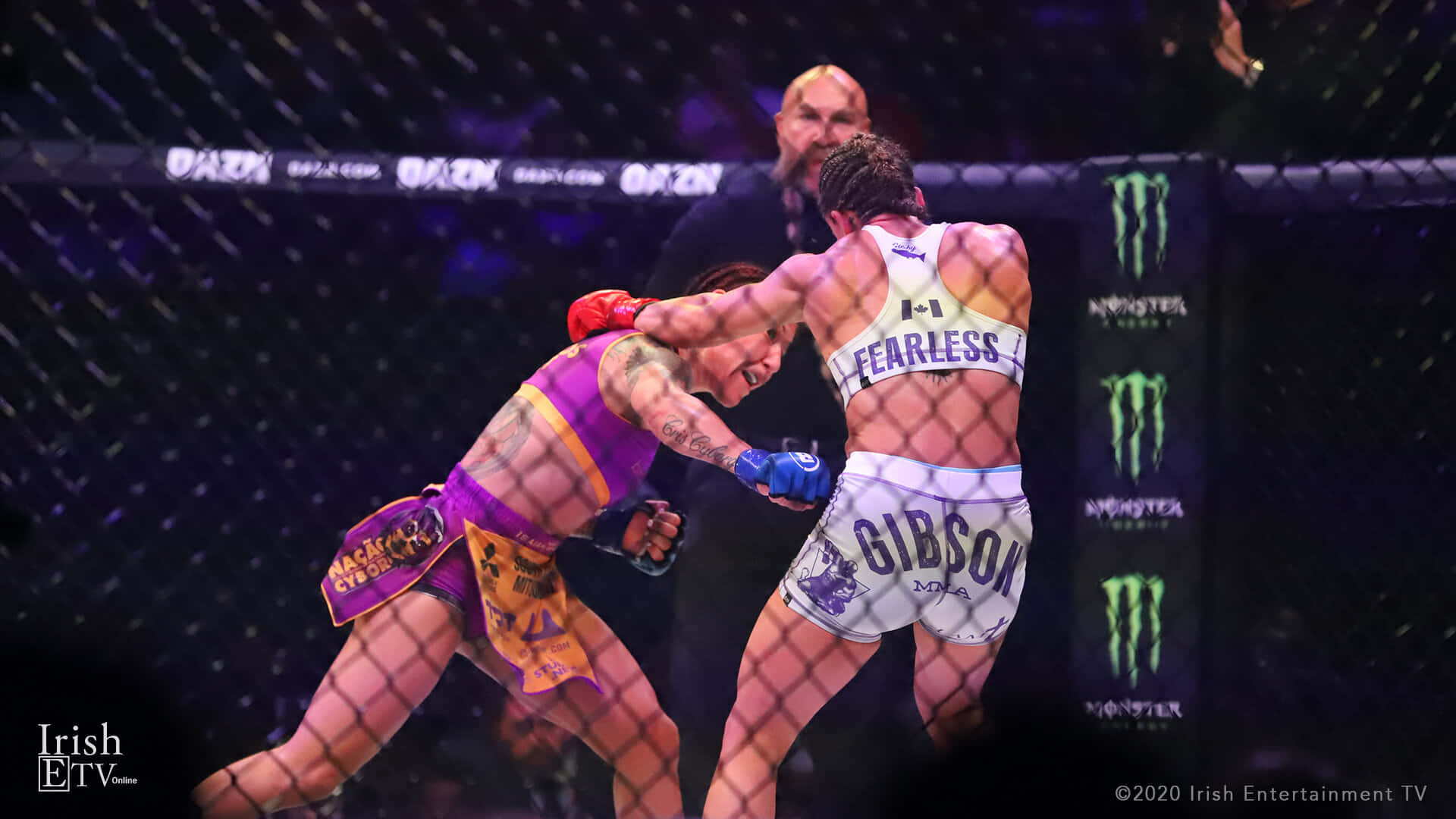 UFC Fighters Cris Cyborg And Julia Budd Long Shot Wallpaper