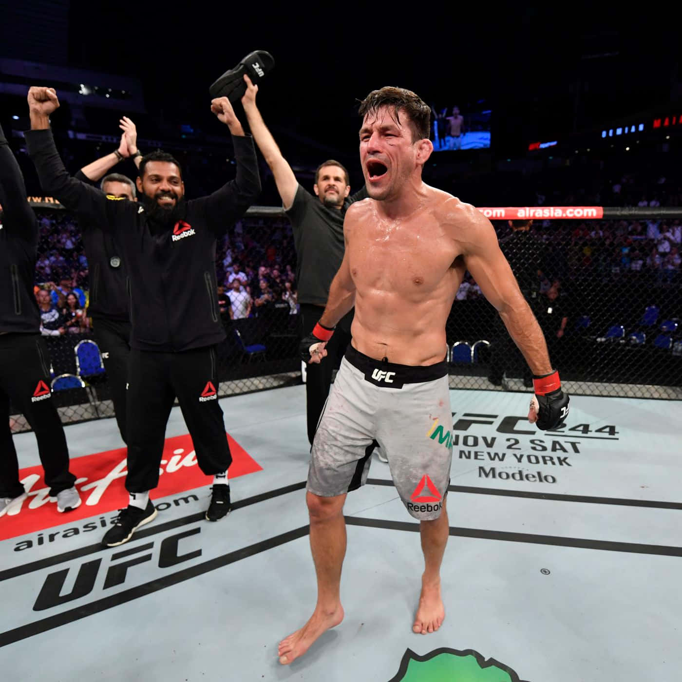 Ufc Fighters Demian Maia Victory Picture