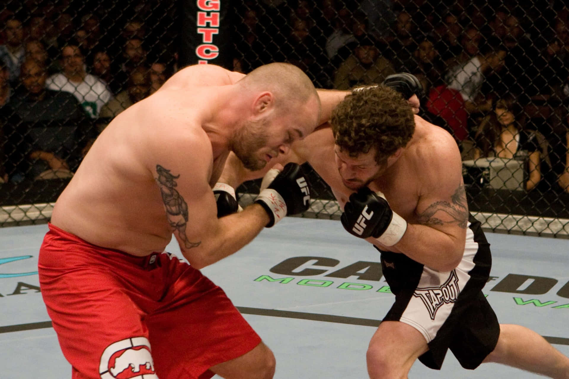 "Battle Ready - Travis Fulton, a UFC Legend in Action" Wallpaper