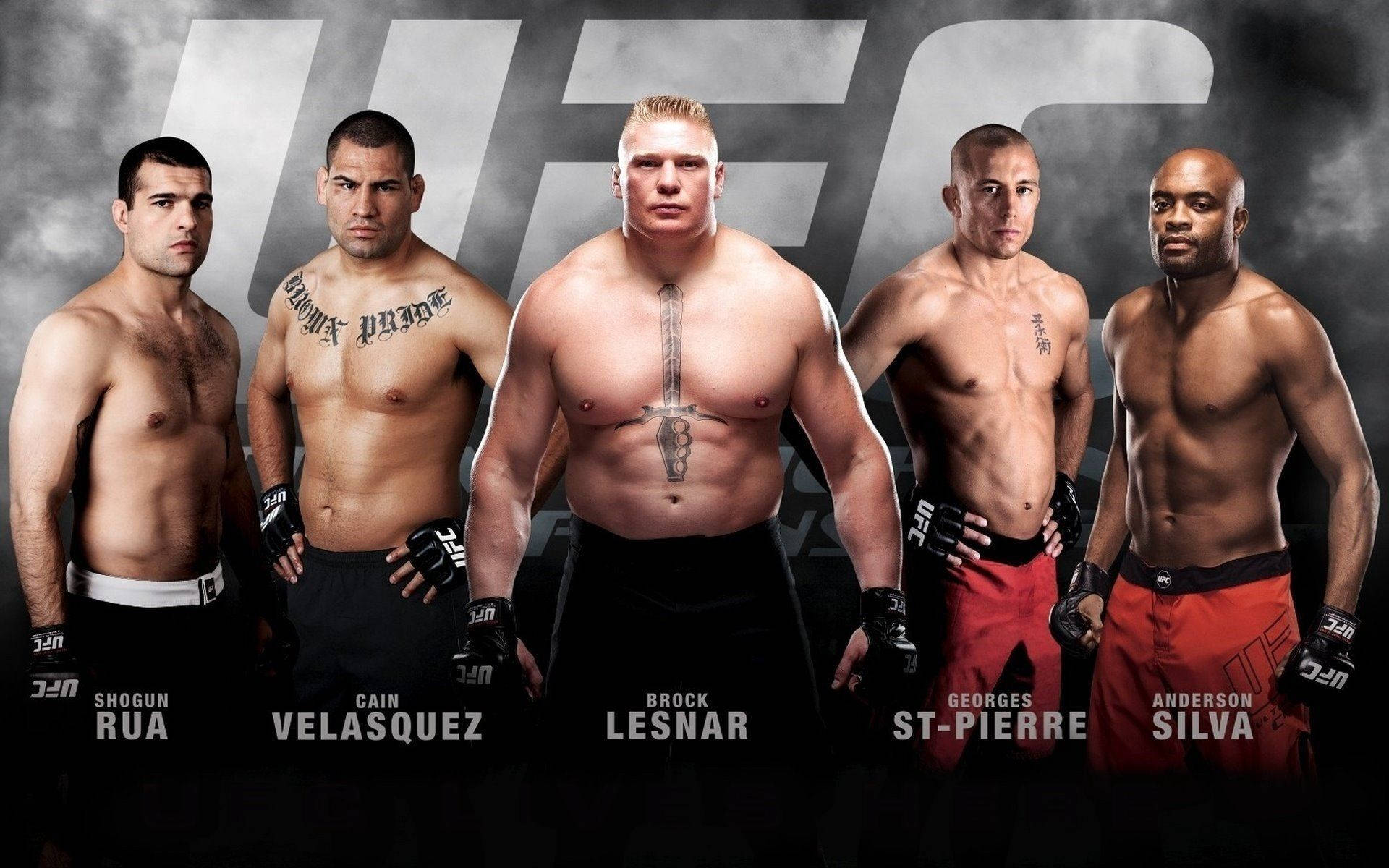 UFC Hall Of Famers Wallpaper