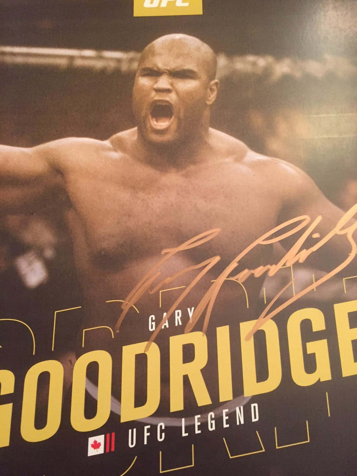 UFC Legende Gary Goodridge Fighter Tapet Wallpaper