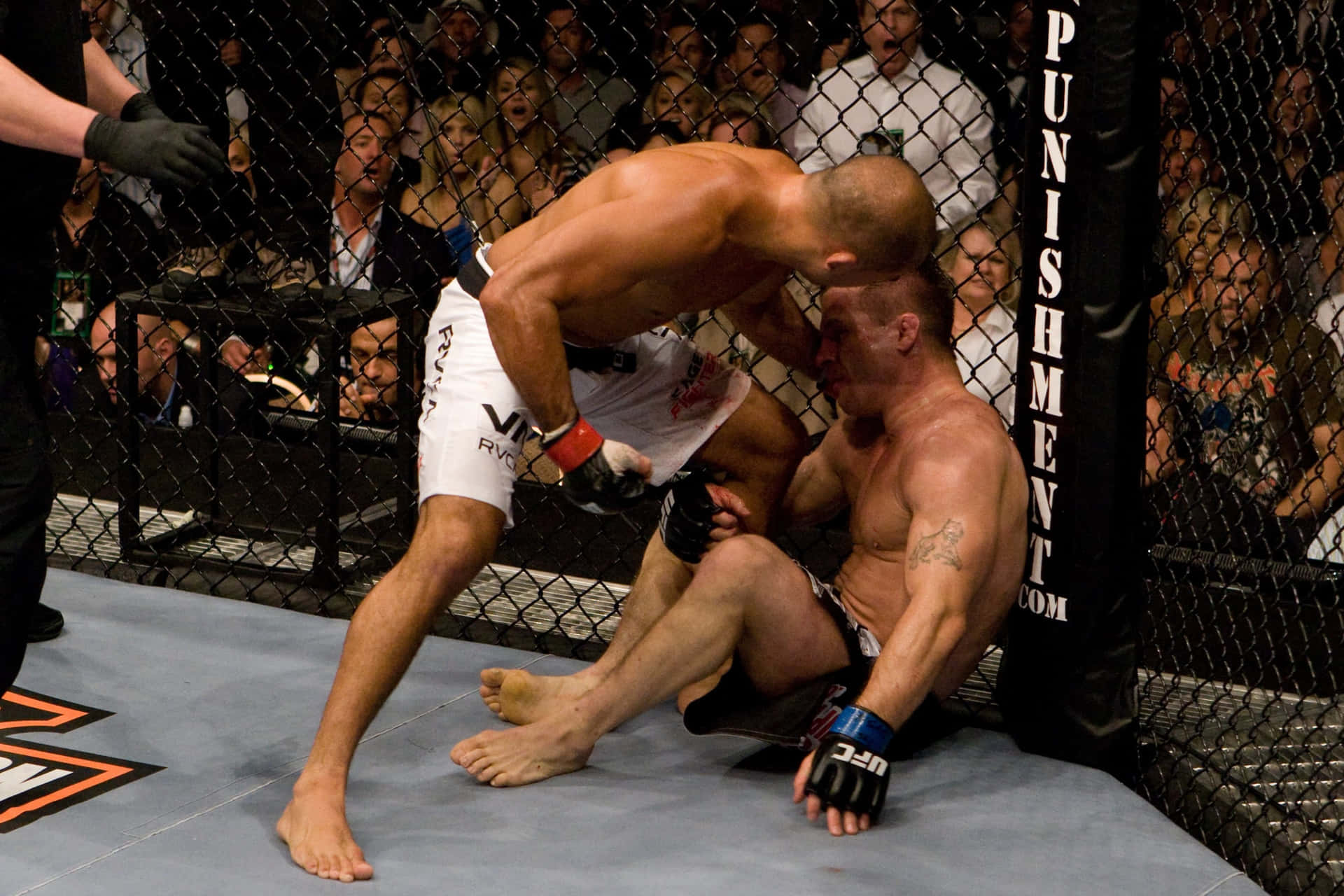 UFC Sean Sherk Survival Moment Wallpaper