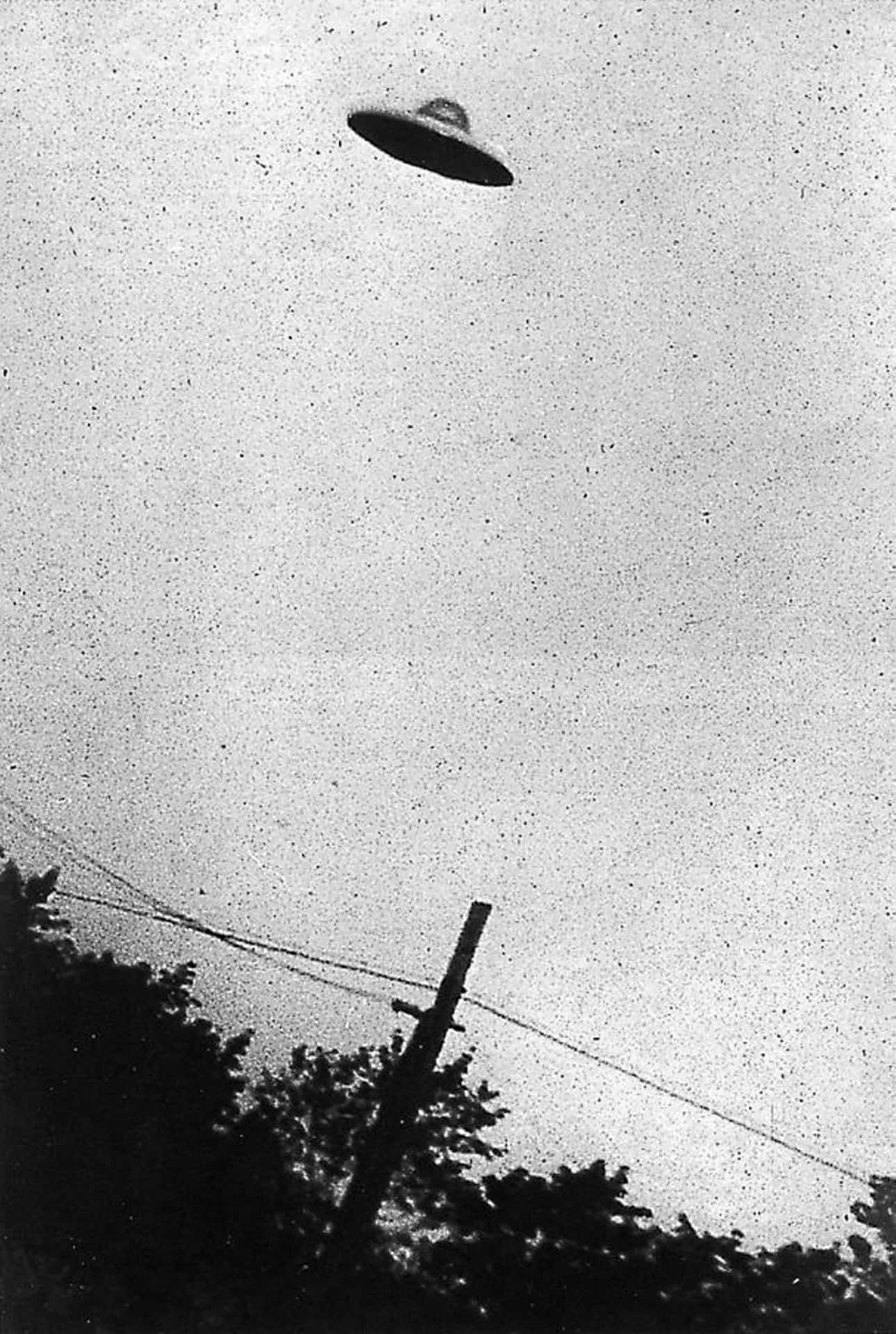 A Black And White Photo Of An Ufo Flying Over A Tree