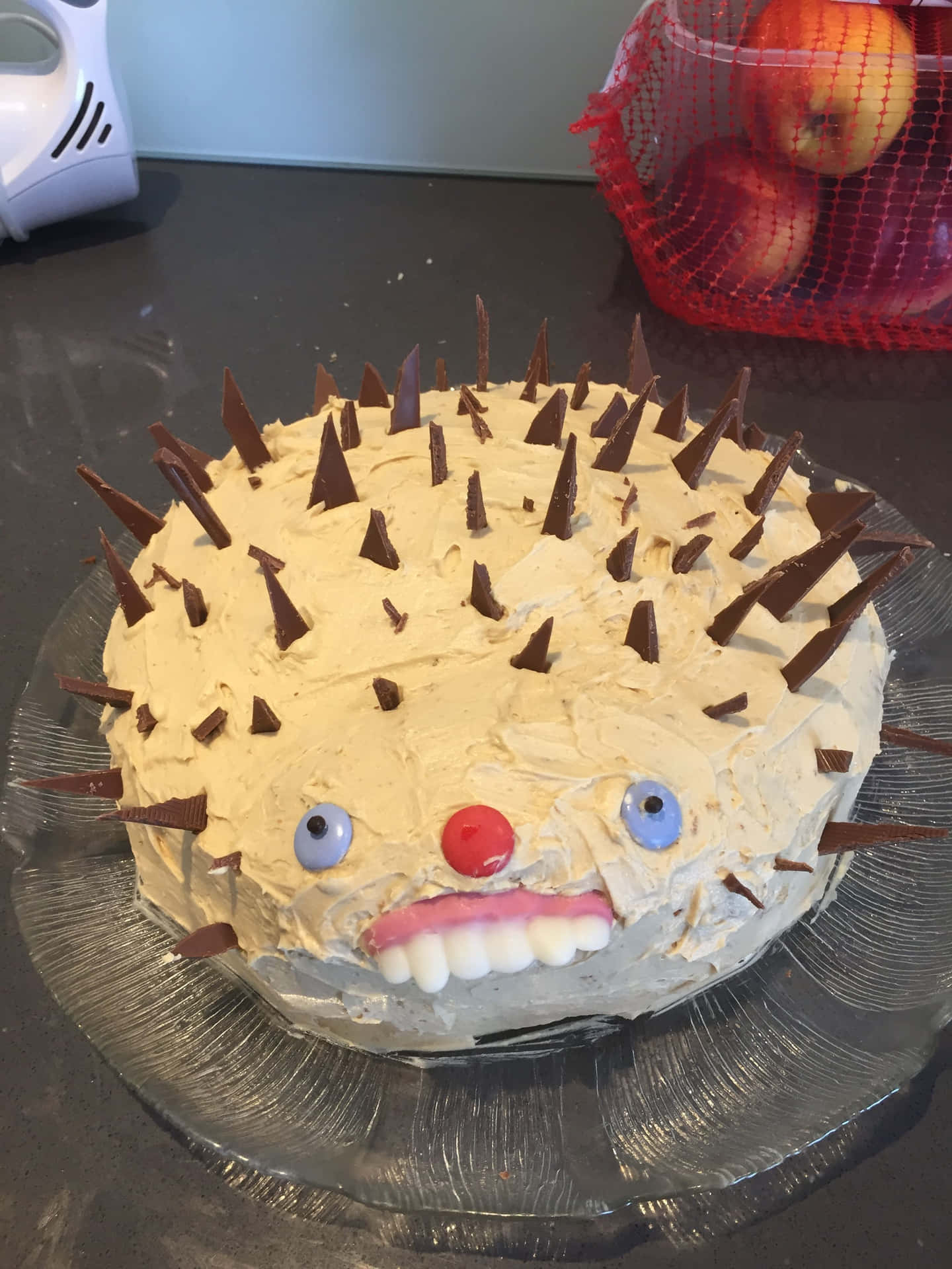 Sad Hedgehog Ugly Cake Picture