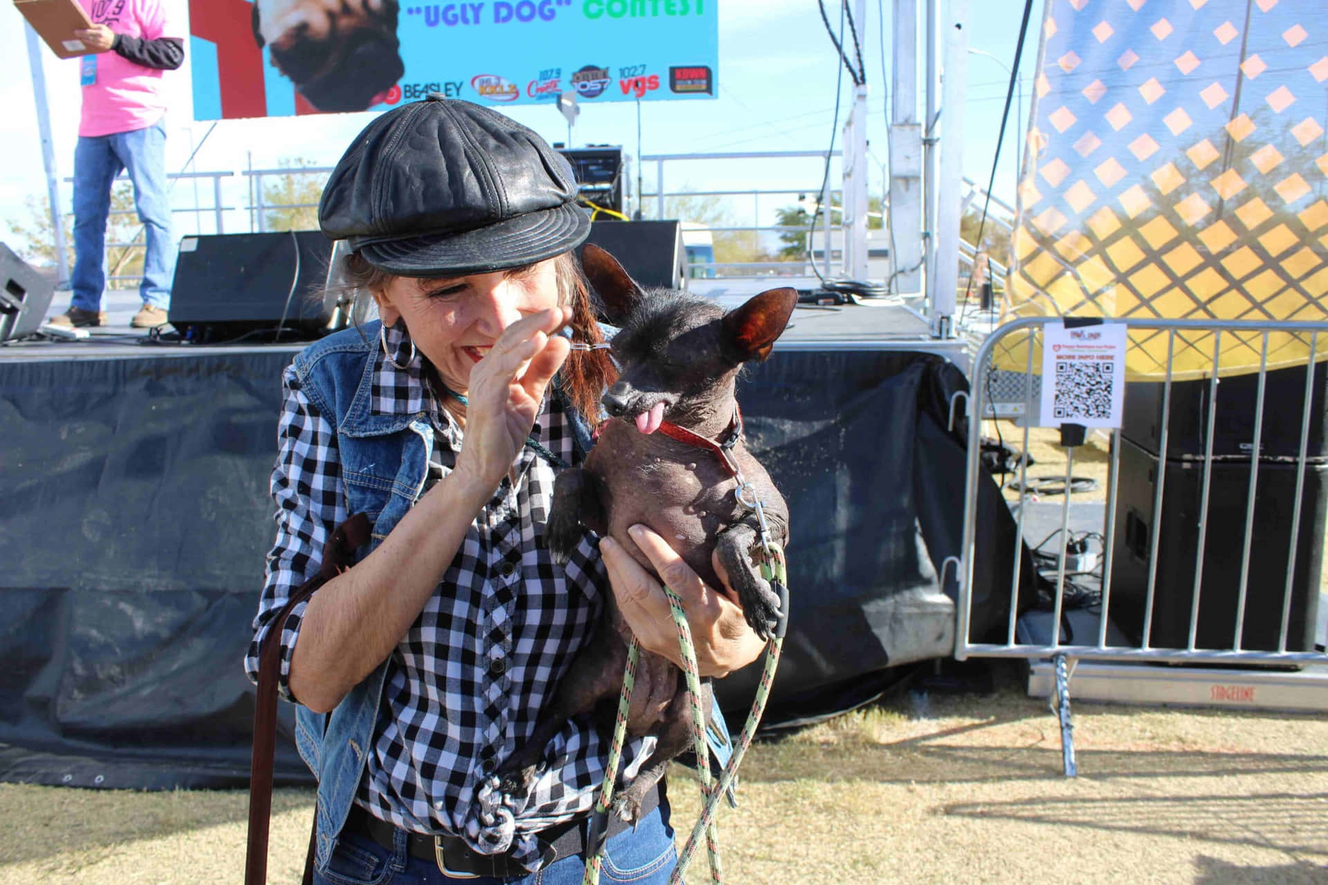 Kvinde Chihuahua grimme hundebilleder Tapet