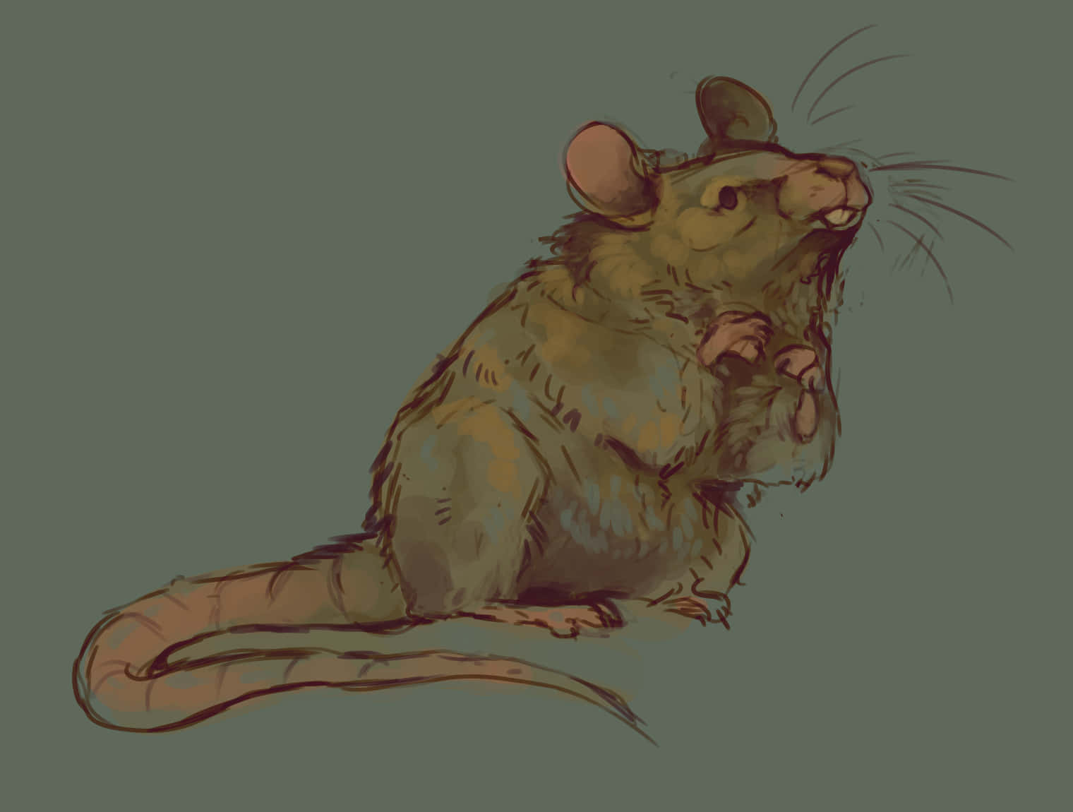 Cute Art Ugly Rat Picture