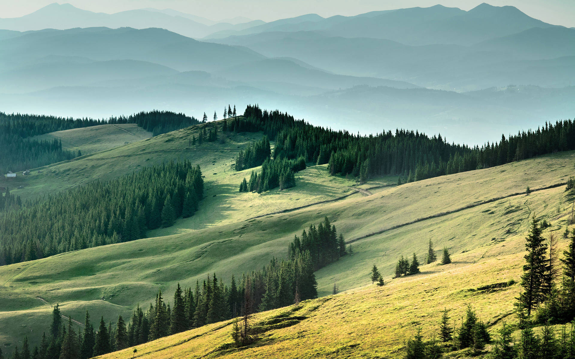 Ukraine Carpathian Mountain Ranges Wallpaper