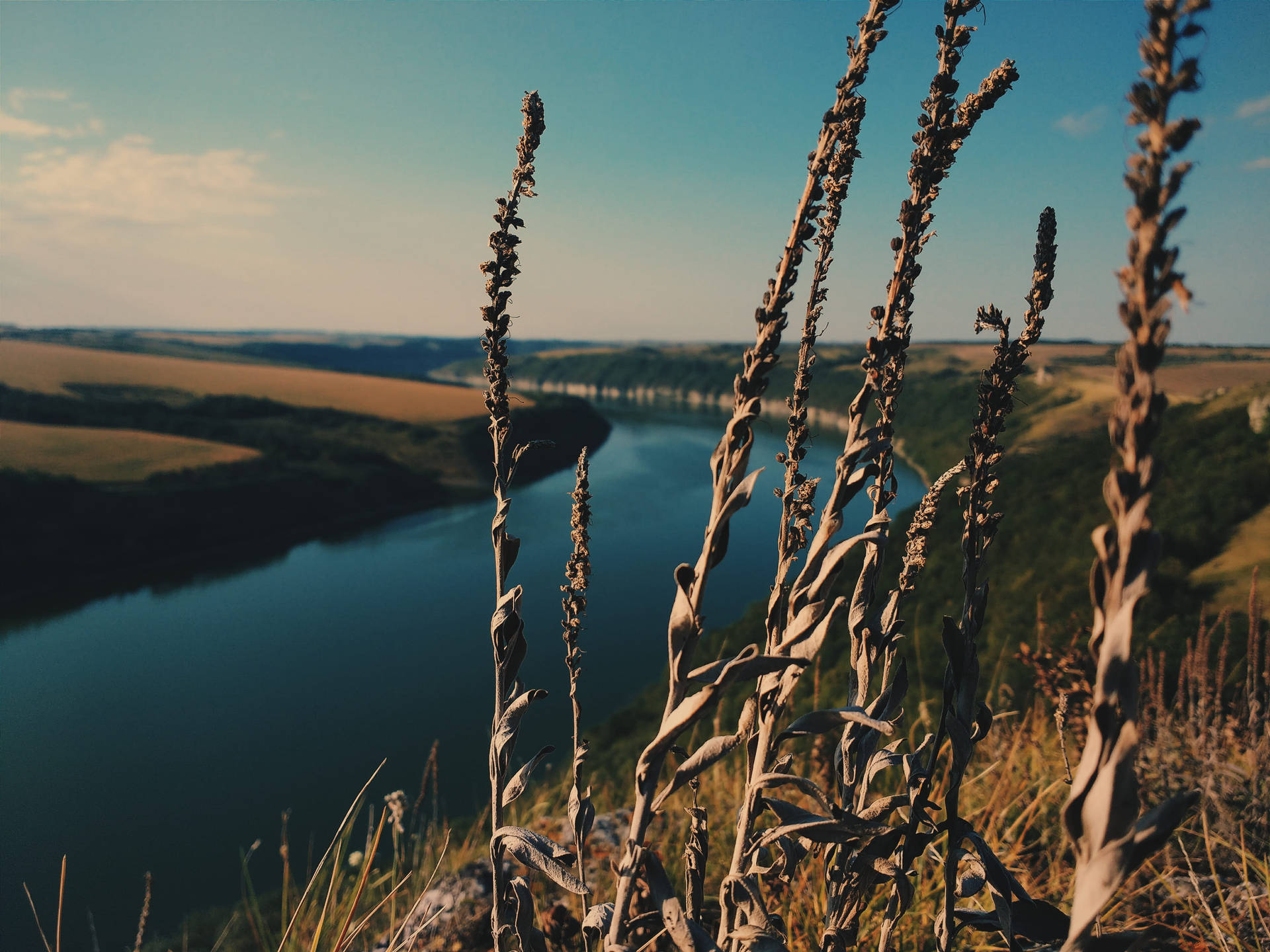 Cañóndel Río Dniéster En Ucrania. Fondo de pantalla