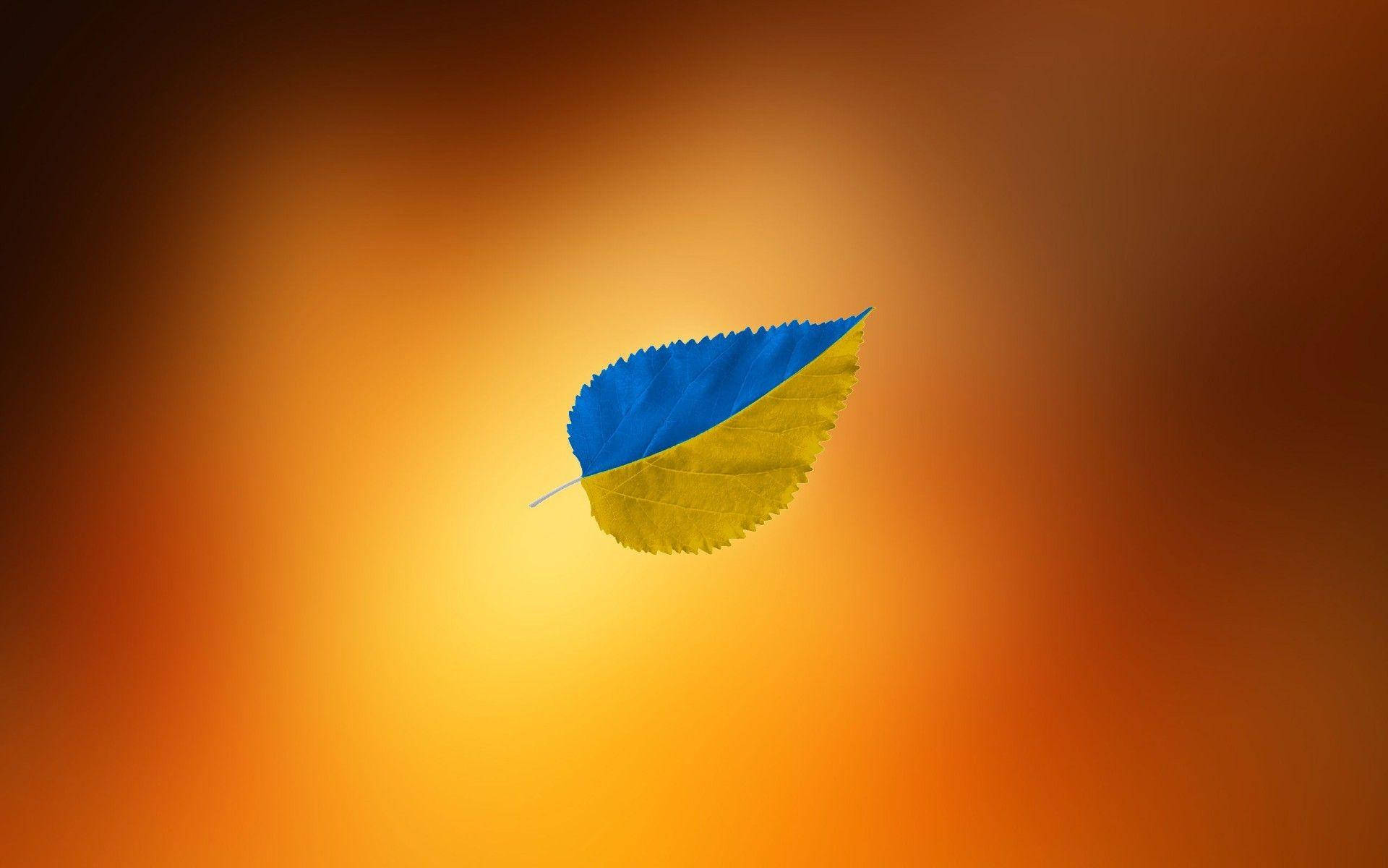 Ukraine Flag Leaf Background