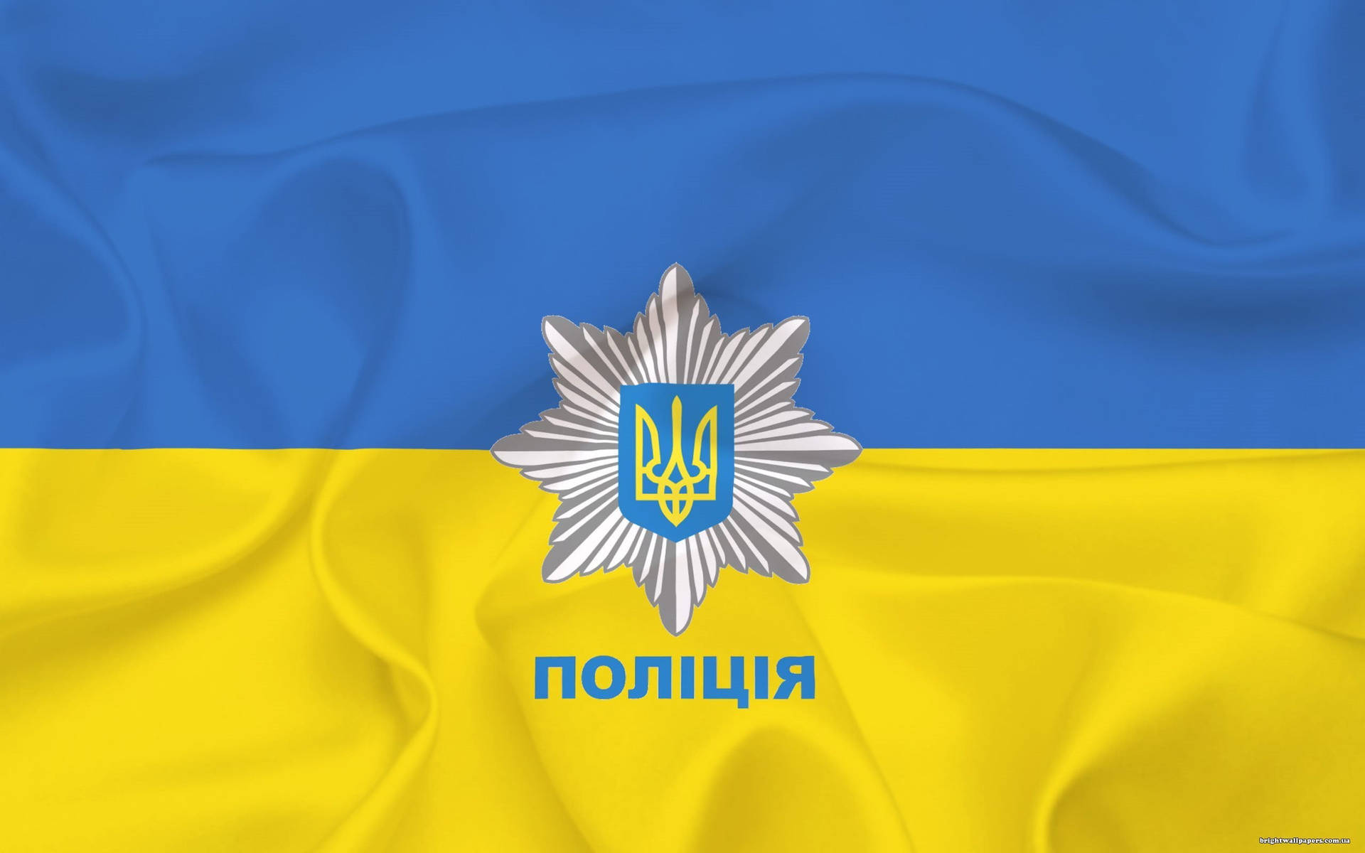 Ukraine Flag Police Version Background