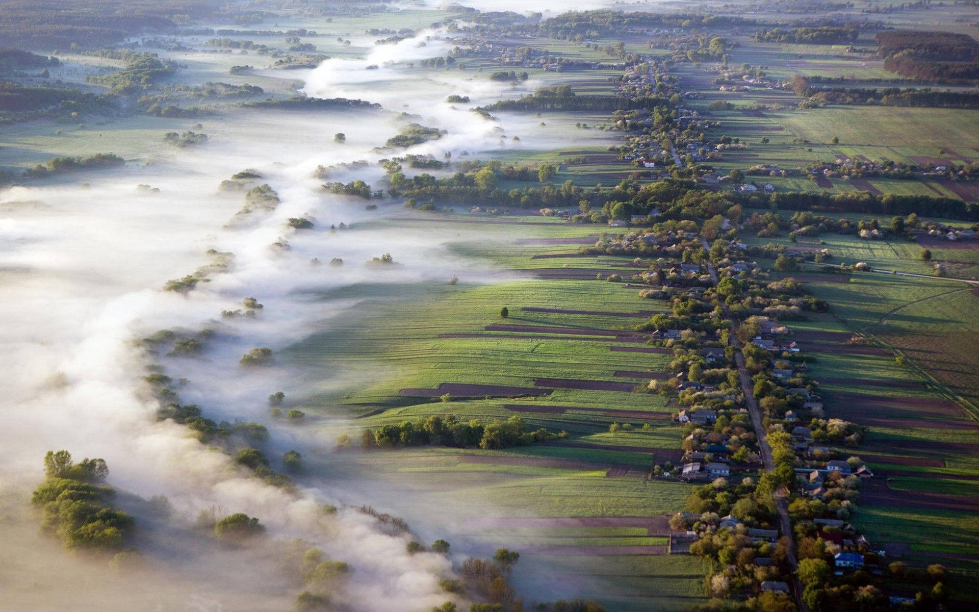 Ukraine Misty Field Wallpaper