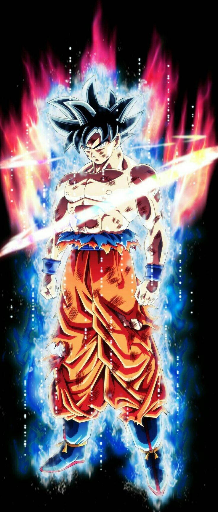 Ultrainstinct Goku Del Manga De Dragon Ball. Fondo de pantalla