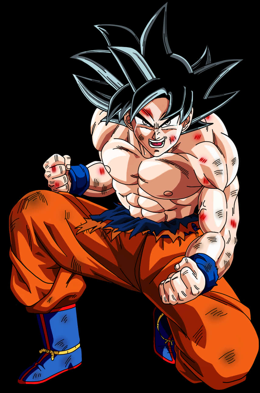 Ultra Instinct Goku Readyfor Battle PNG