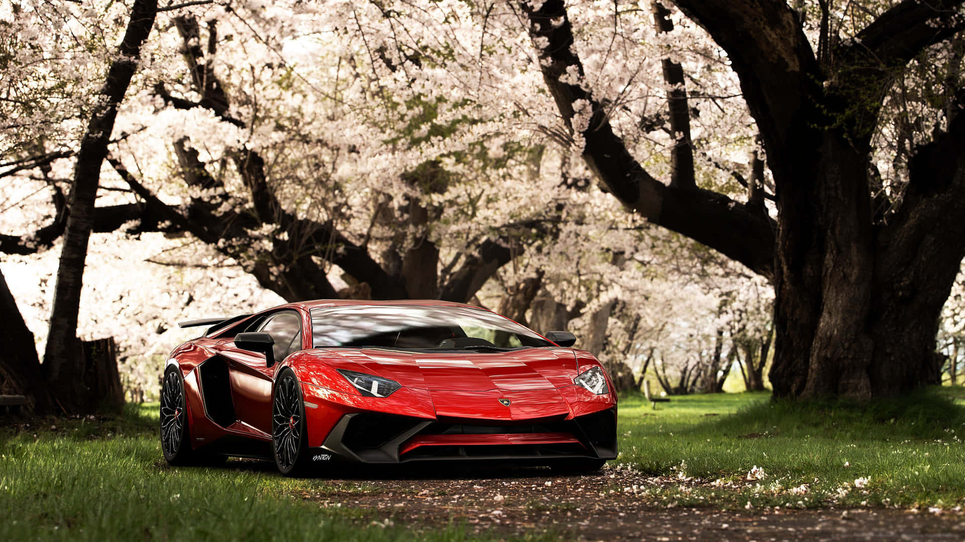 A Red Sports Car Parked In A Field With Cherry Trees Wallpaper