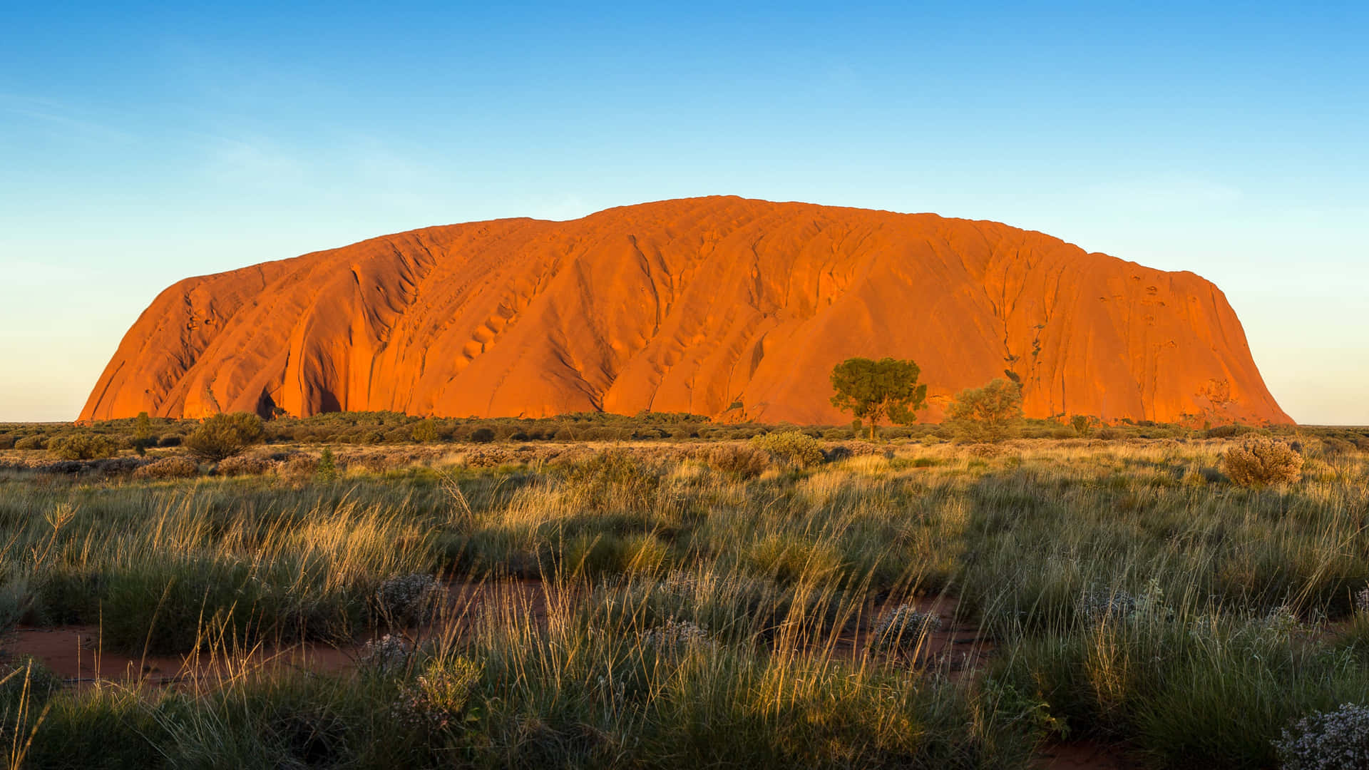 Uluru 5667 X 3188 Wallpaper
