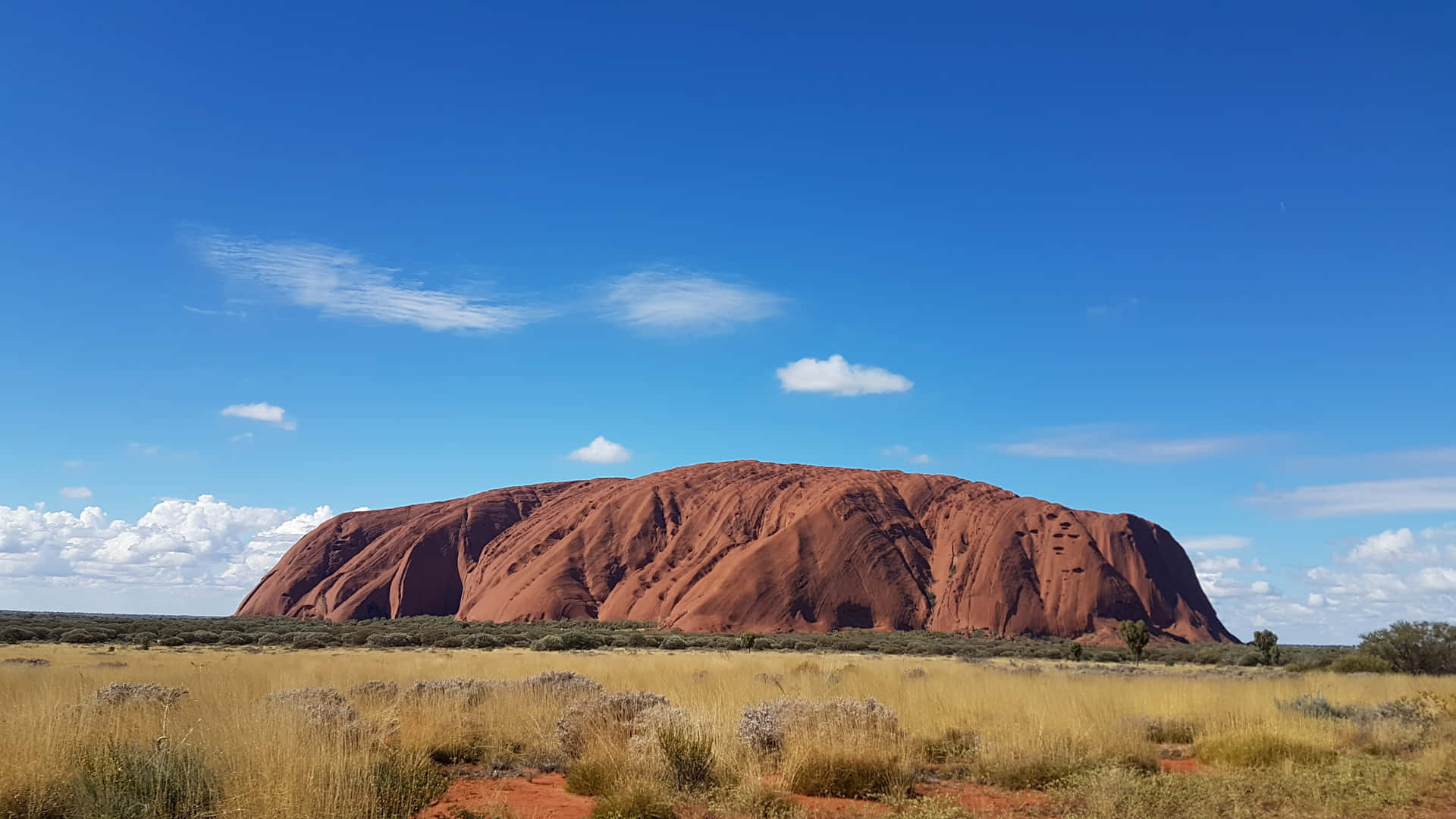 Uluru Brown Green Shrubs Wallpaper