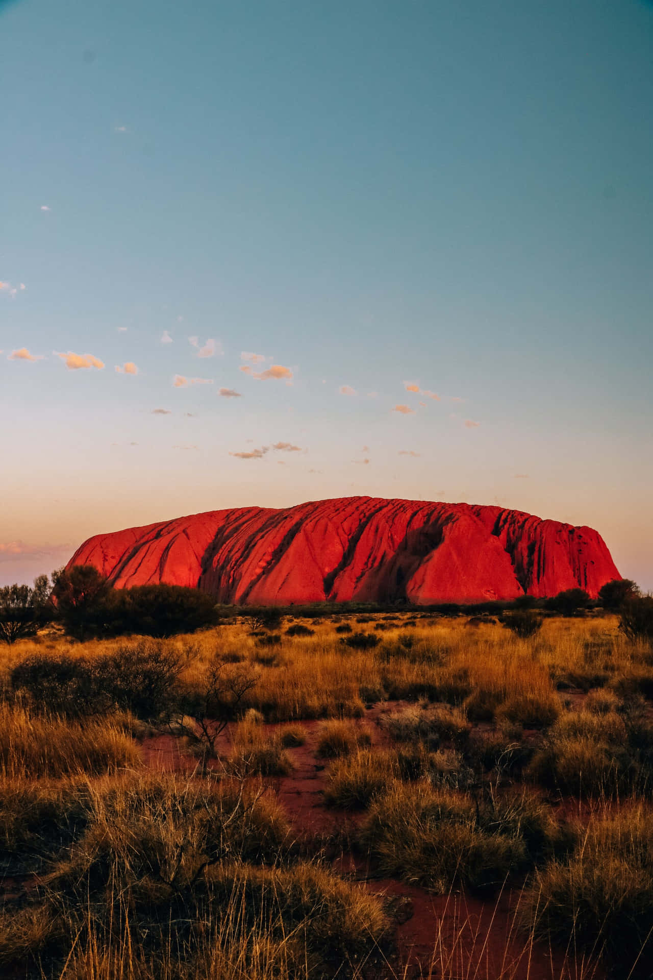Uluru Shing Rød Farverig Ændring Animerte Billeder Wallpaper