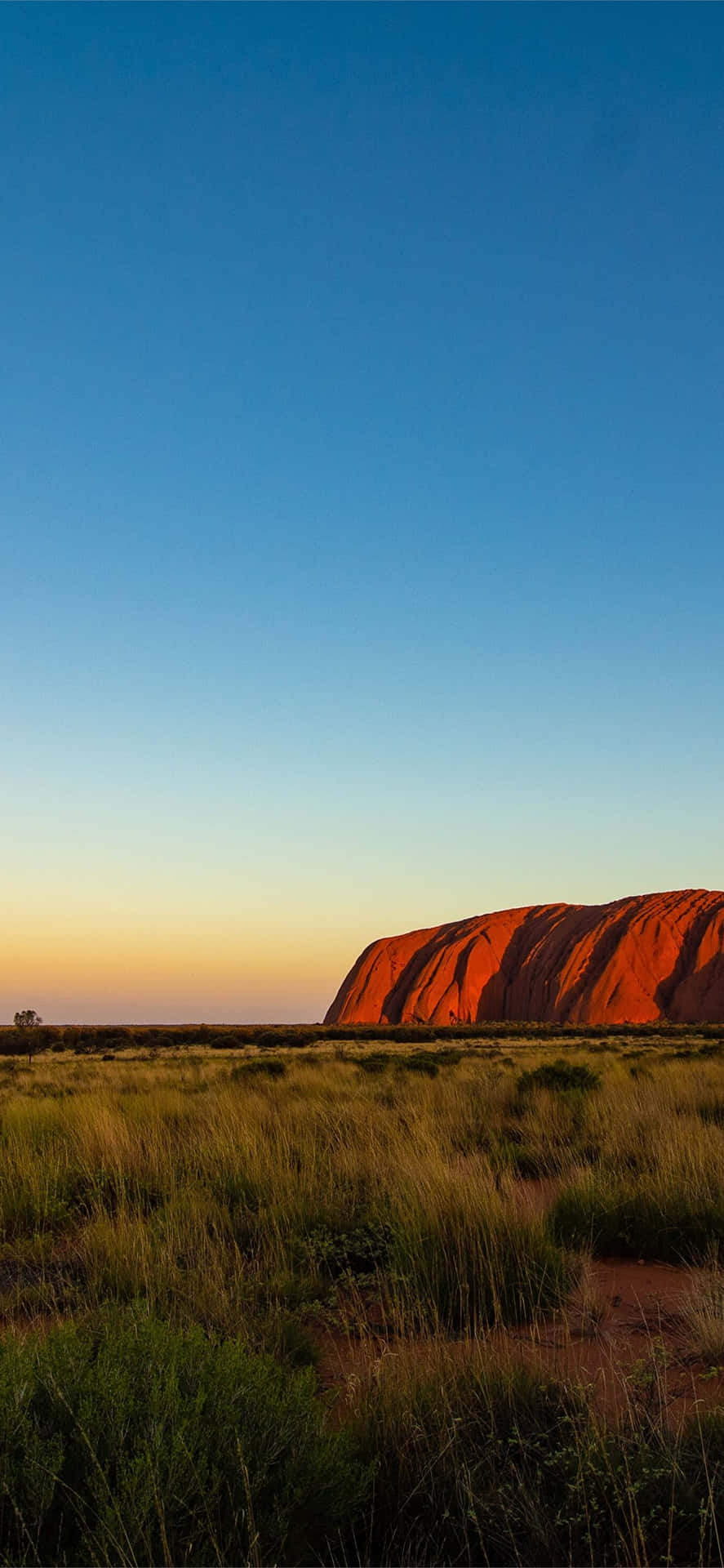 Uluru| Cielo Amarillo Y Azul Fondo de pantalla