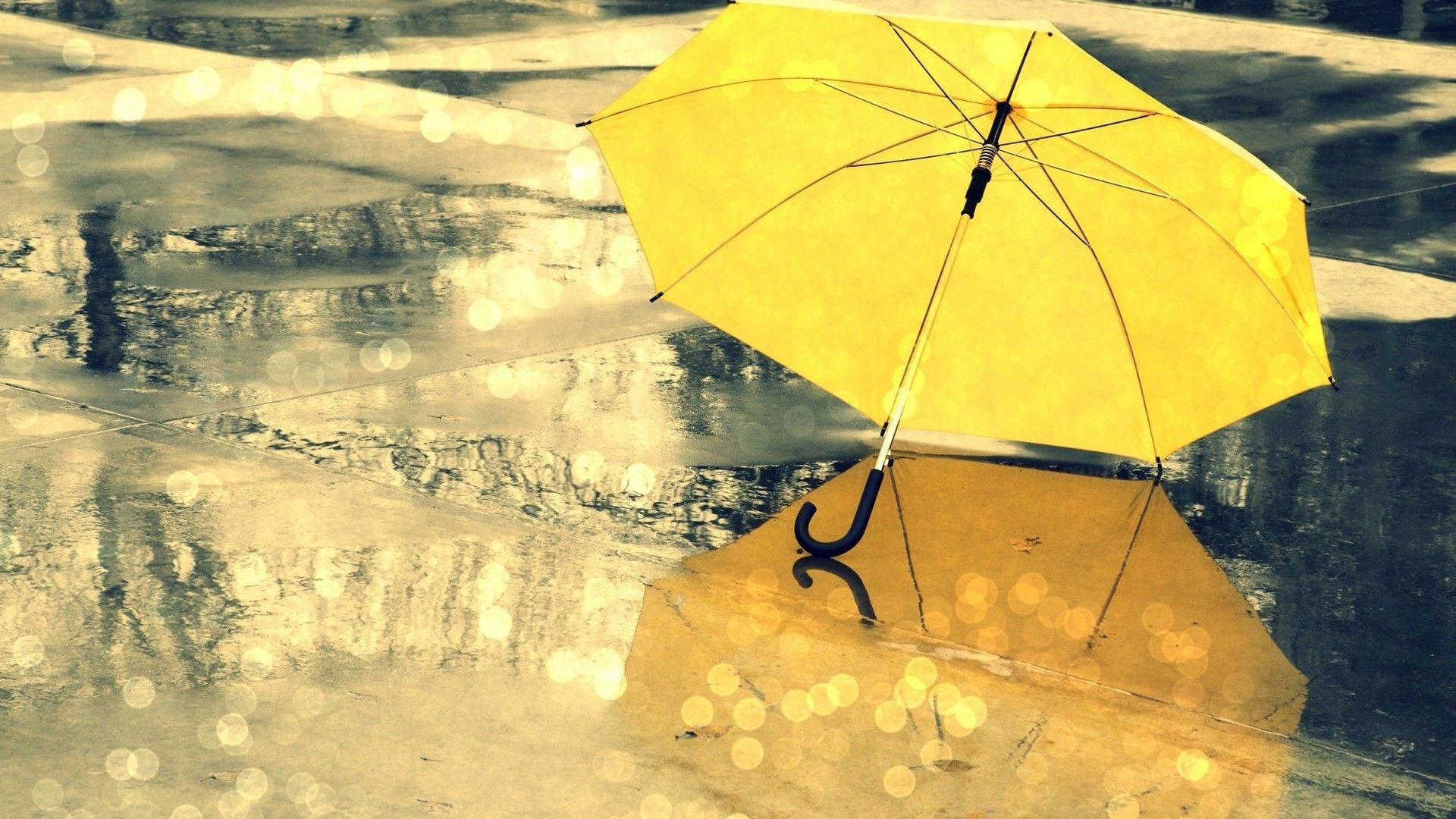 Umbrella Enduring Seasons Wallpaper