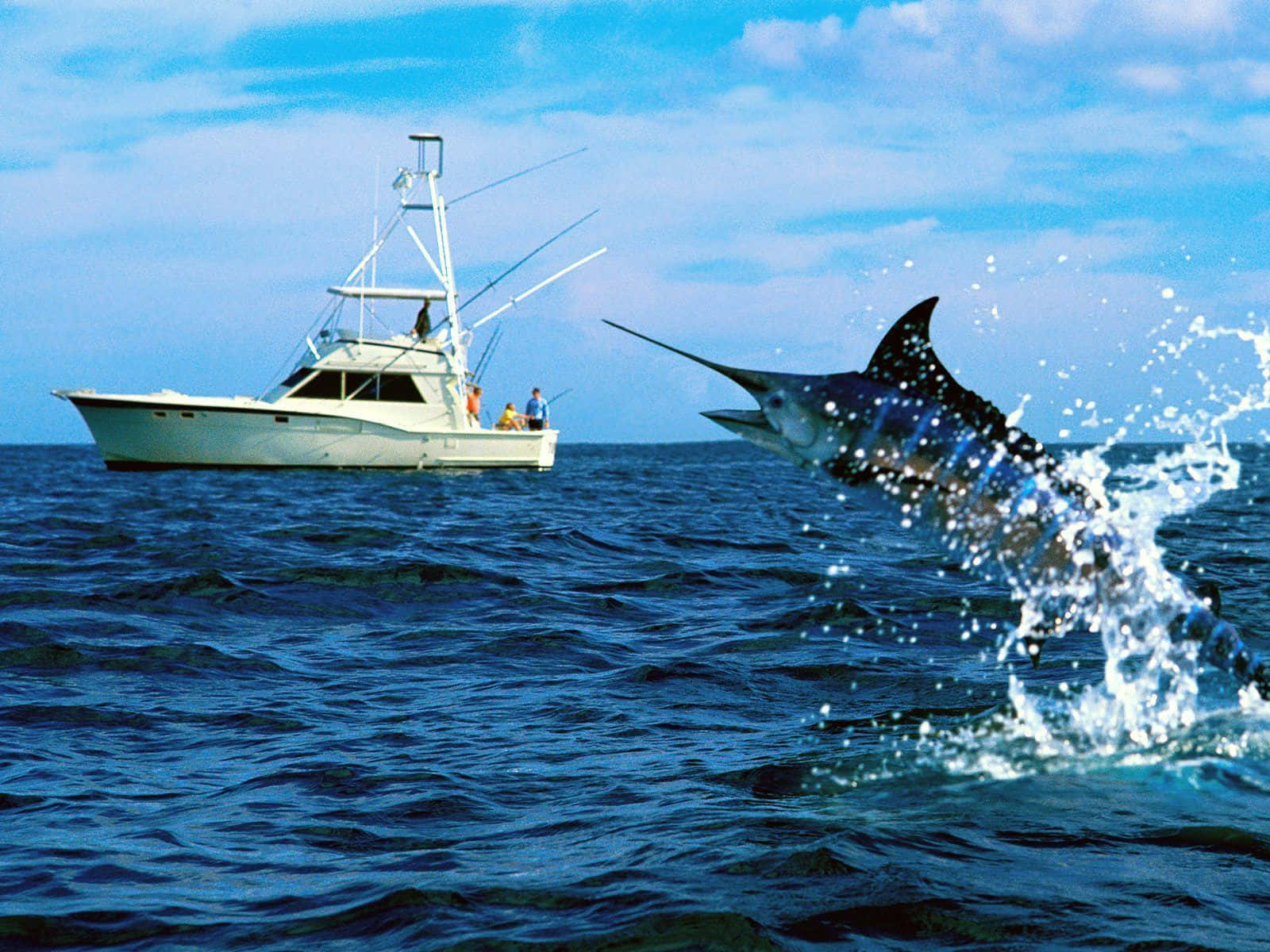 Un'esperienzadi Pesca Tranquilla Al Tramonto