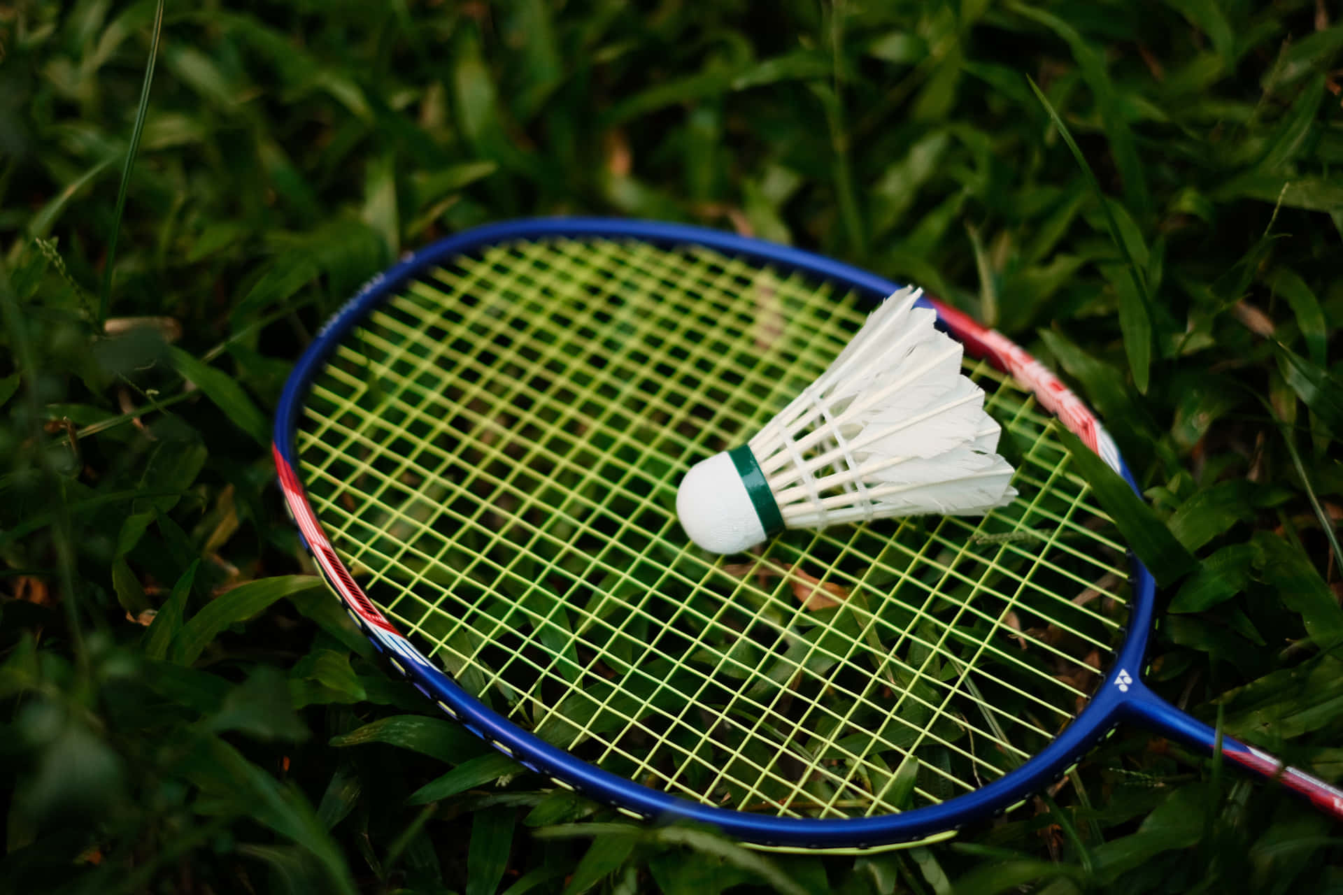 Un'inquadraturaravvicinata Dei Giocatori Di Badminton In Azione