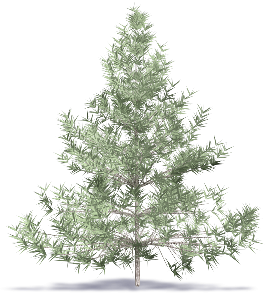 Unadorned Artificial Christmas Tree PNG