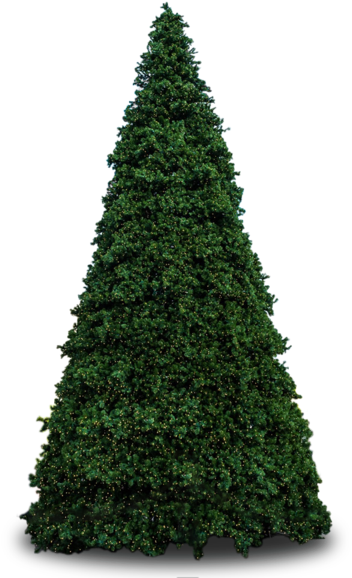 Unadorned Artificial Christmas Tree PNG