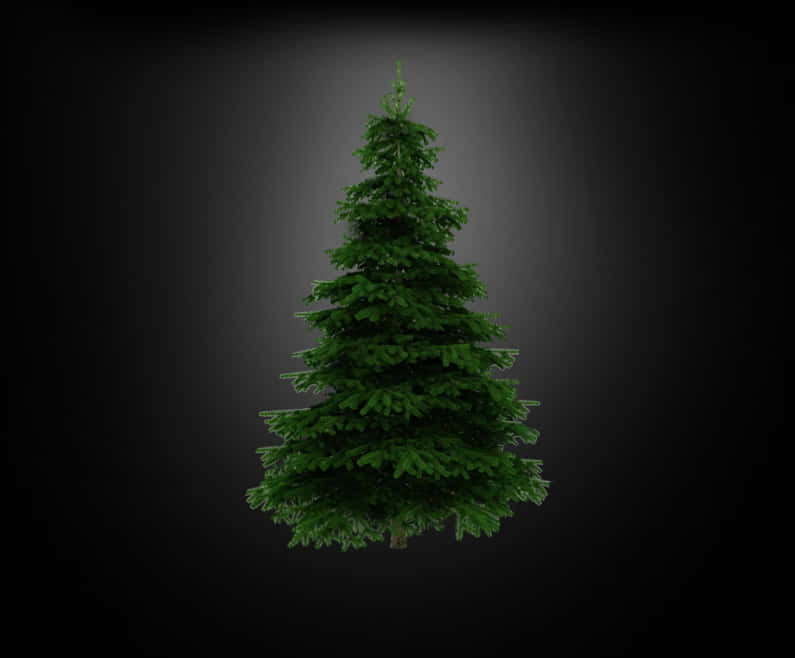 Unadorned Christmas Treeon Dark Background.jpg PNG