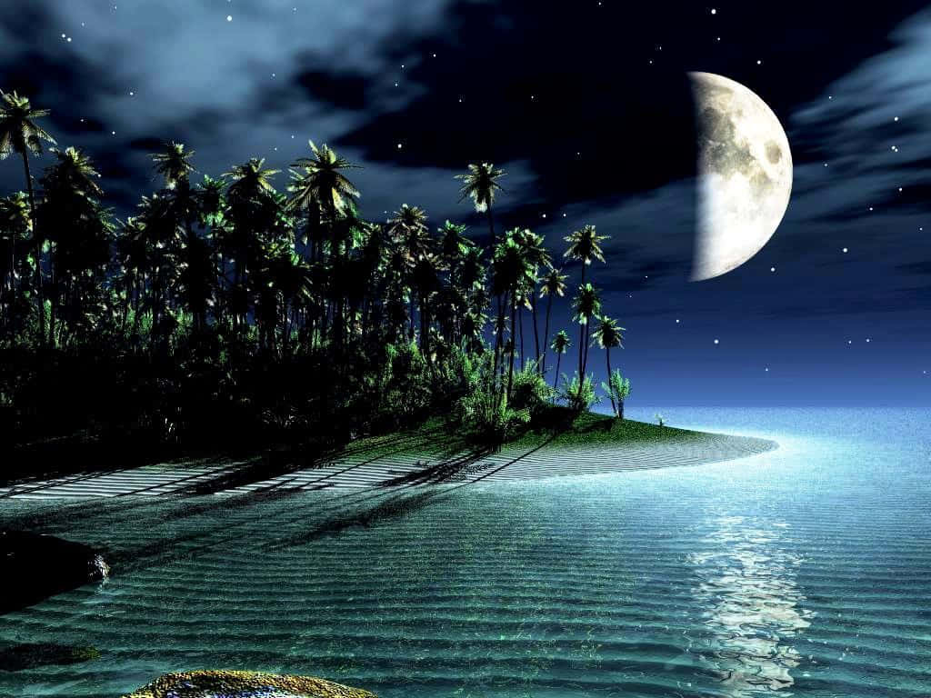 Unanoche Tranquila Iluminada Por La Luna Sobre El Océano.