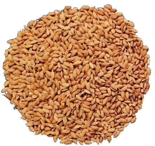 Uncooked Brown Rice Texture PNG