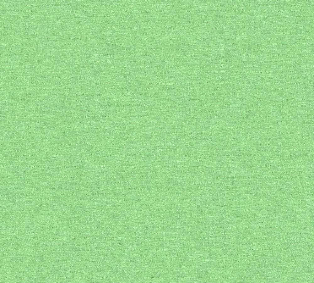Undecorated Light Green Plain Wallpaper