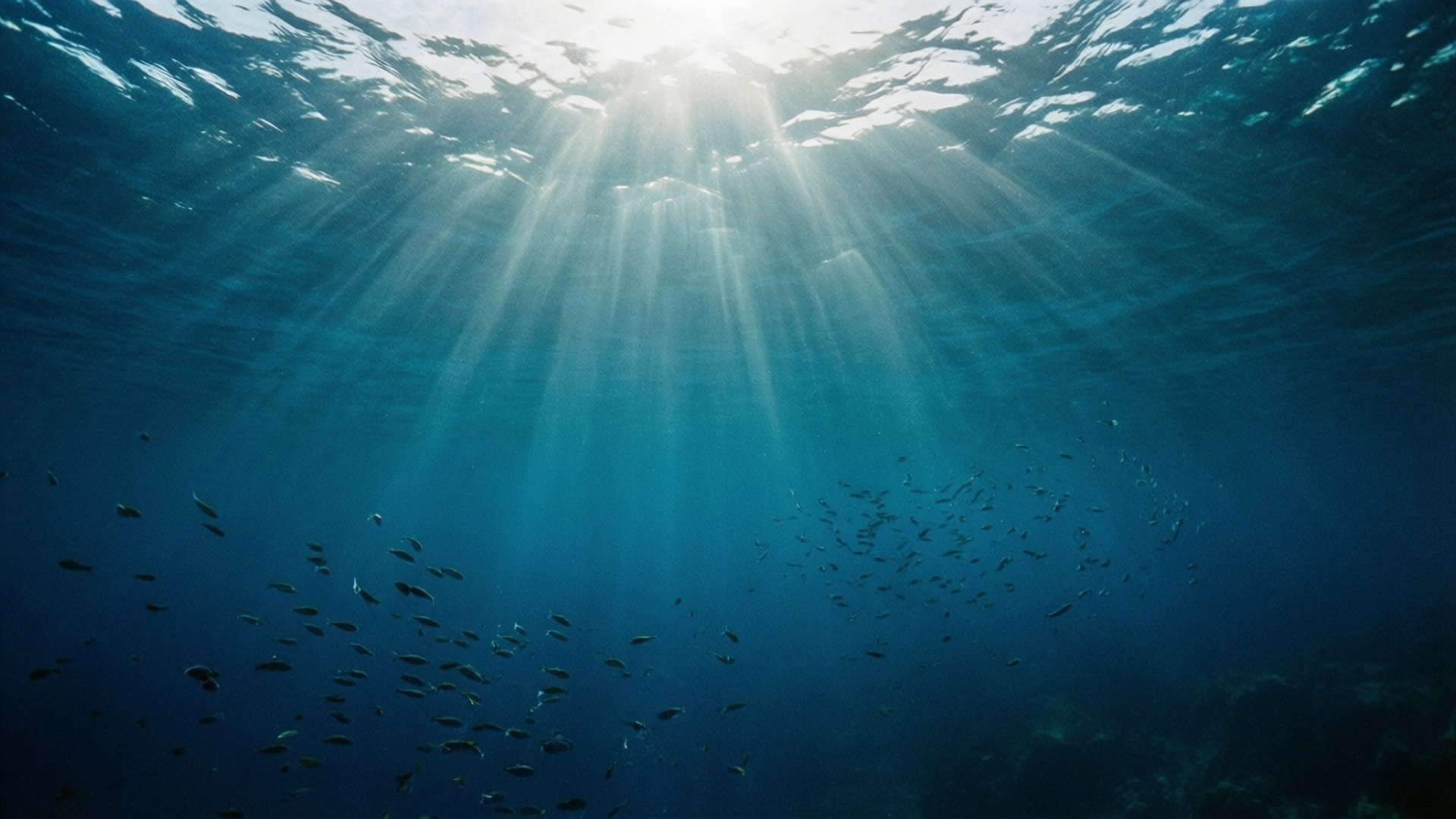 Under Atlantic Surface Wallpapers