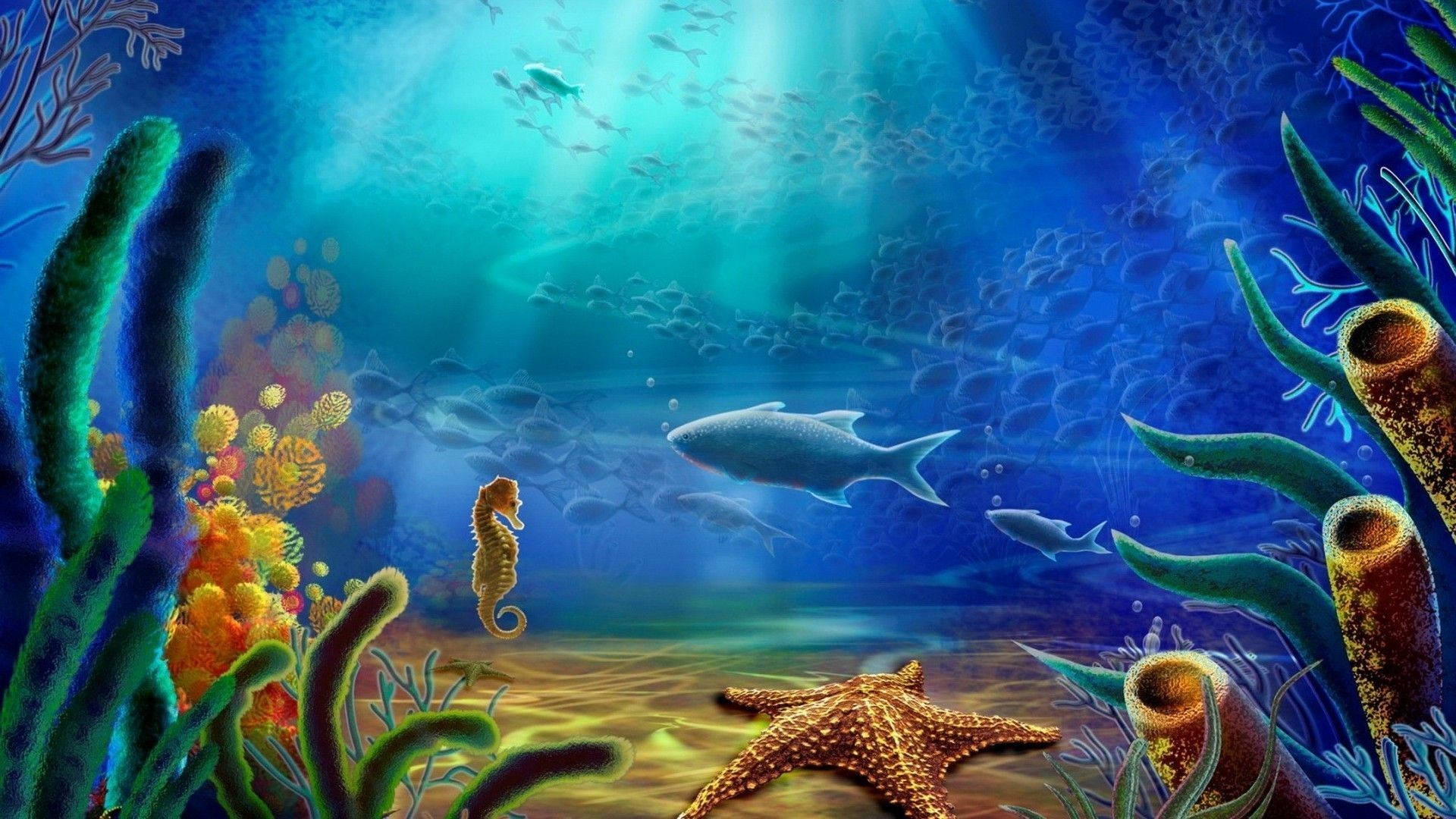 Under The Ocean Creatures Wallpaper