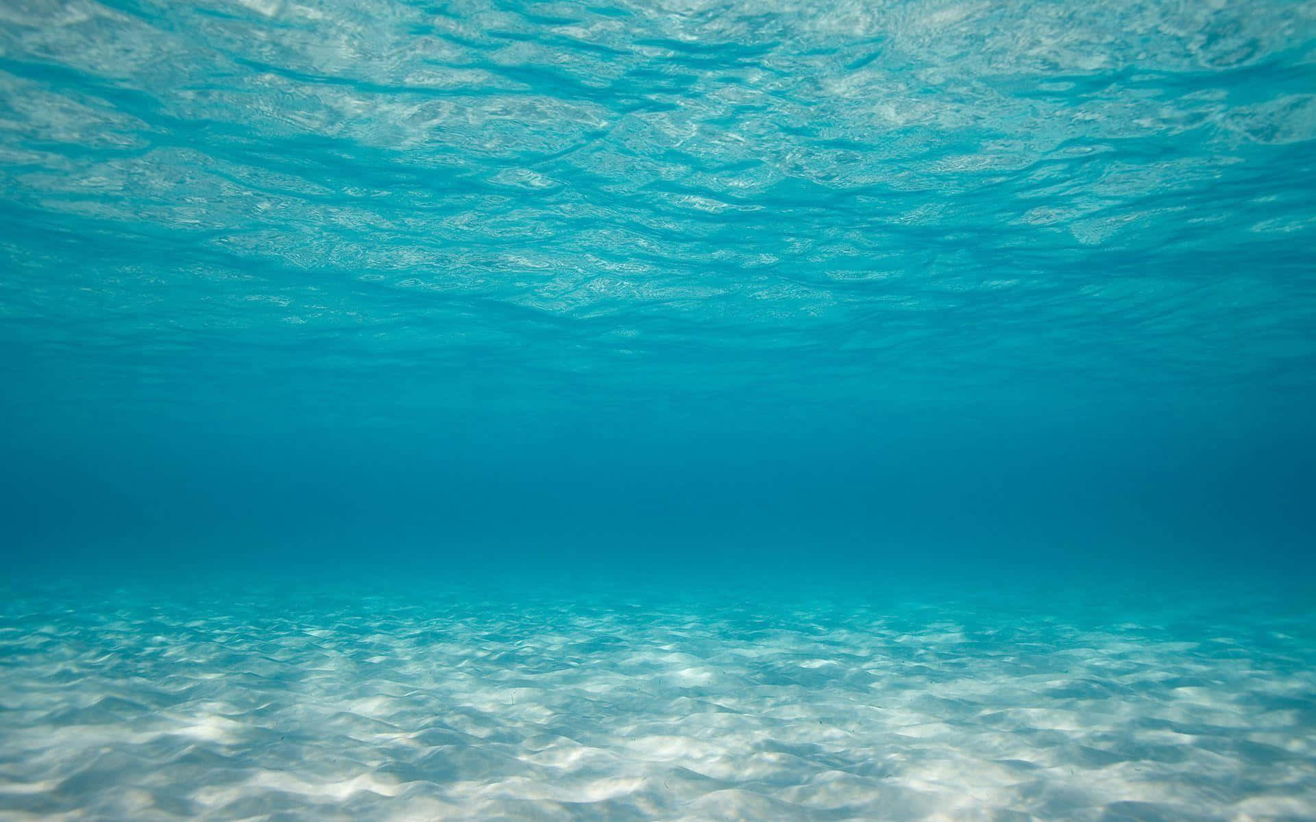 Clear Blue Under The Sea Picture