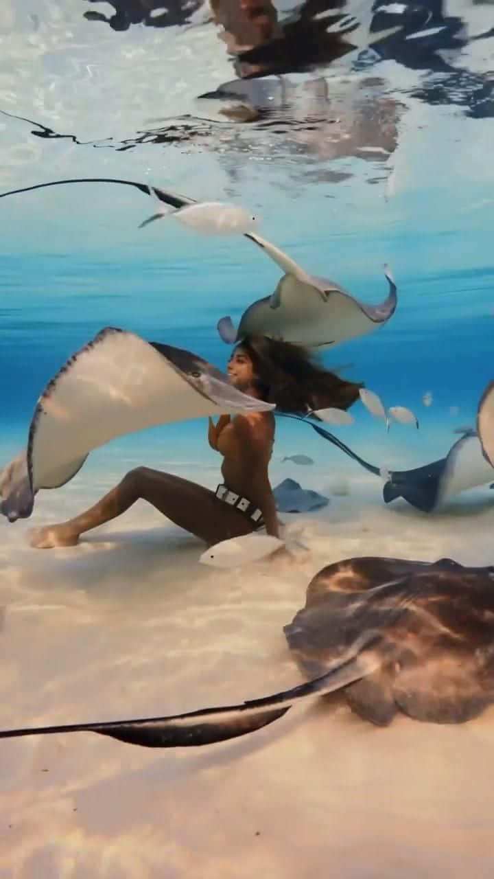Girl And Stingray Under The Sea Picture