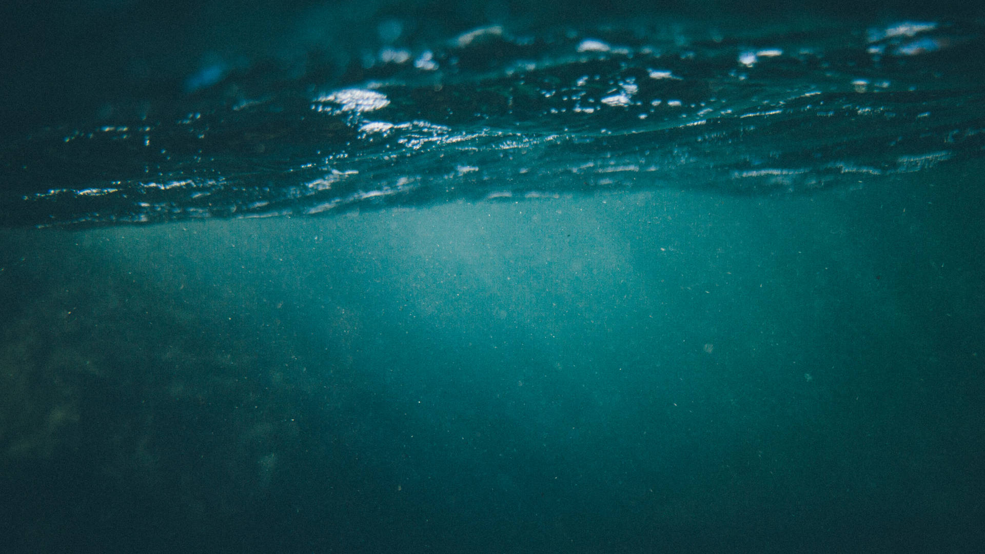 Explore Nature's Marvels Underwater Wallpaper