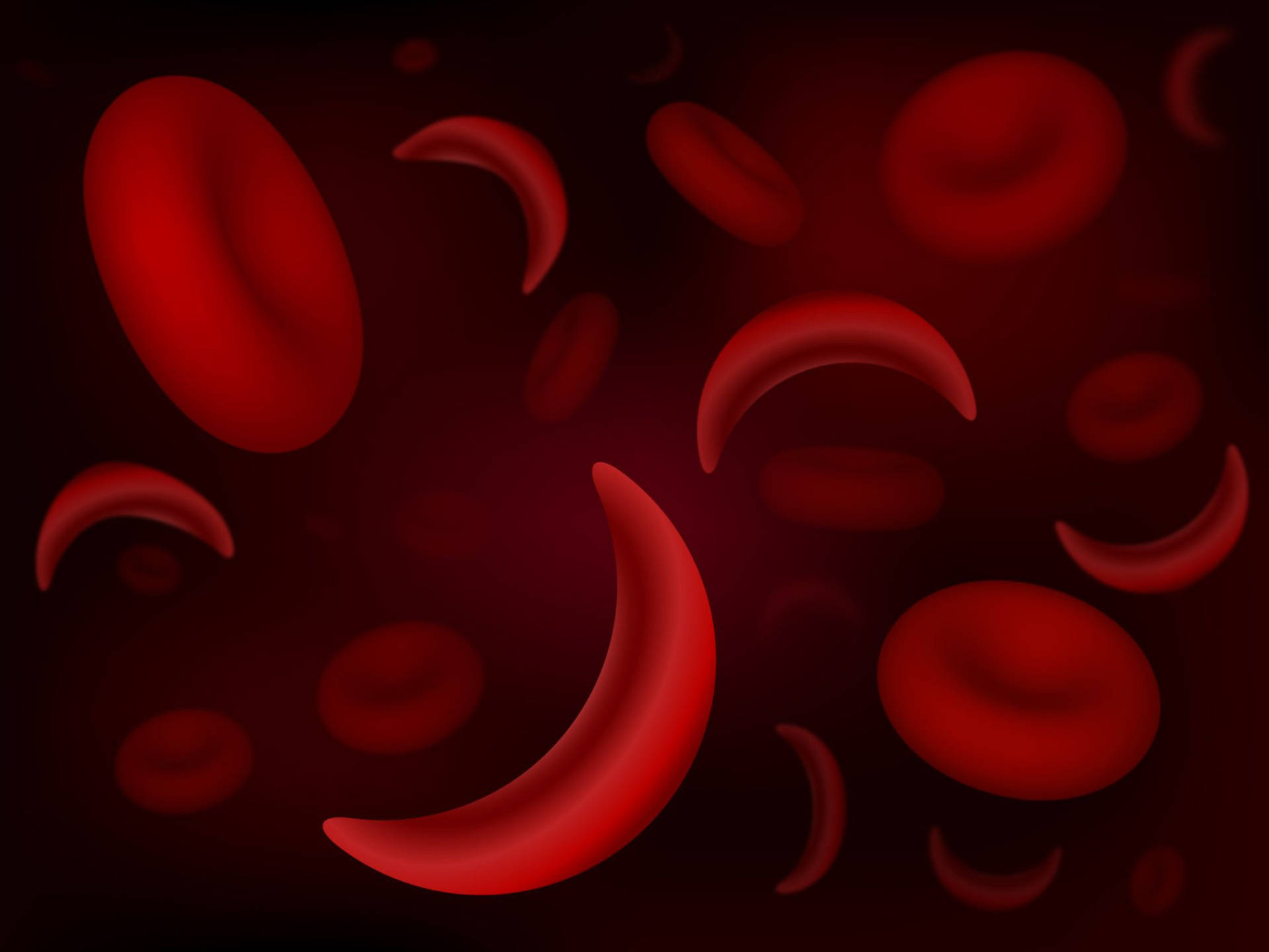 Understanding Anemia: A Close-up View Wallpaper