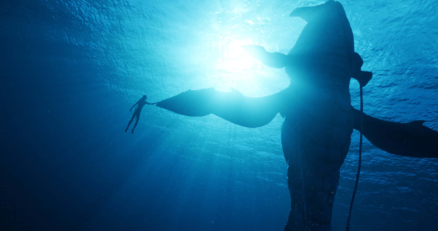 Underwater_ Adventure_with_ Whale_ Shark.jpg Wallpaper