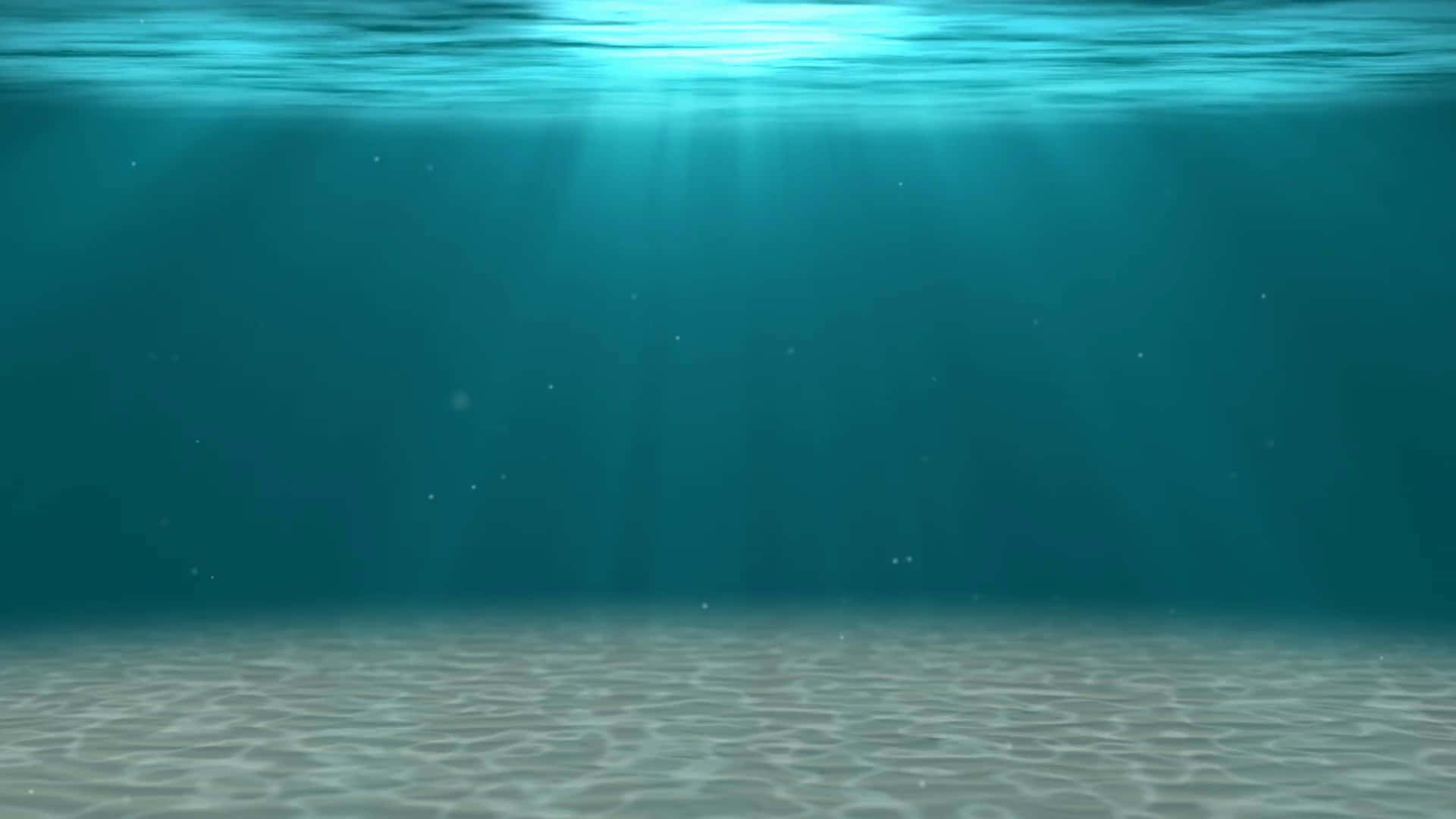 Einfriedlicher Blick Auf Die Unterwasserwelt.