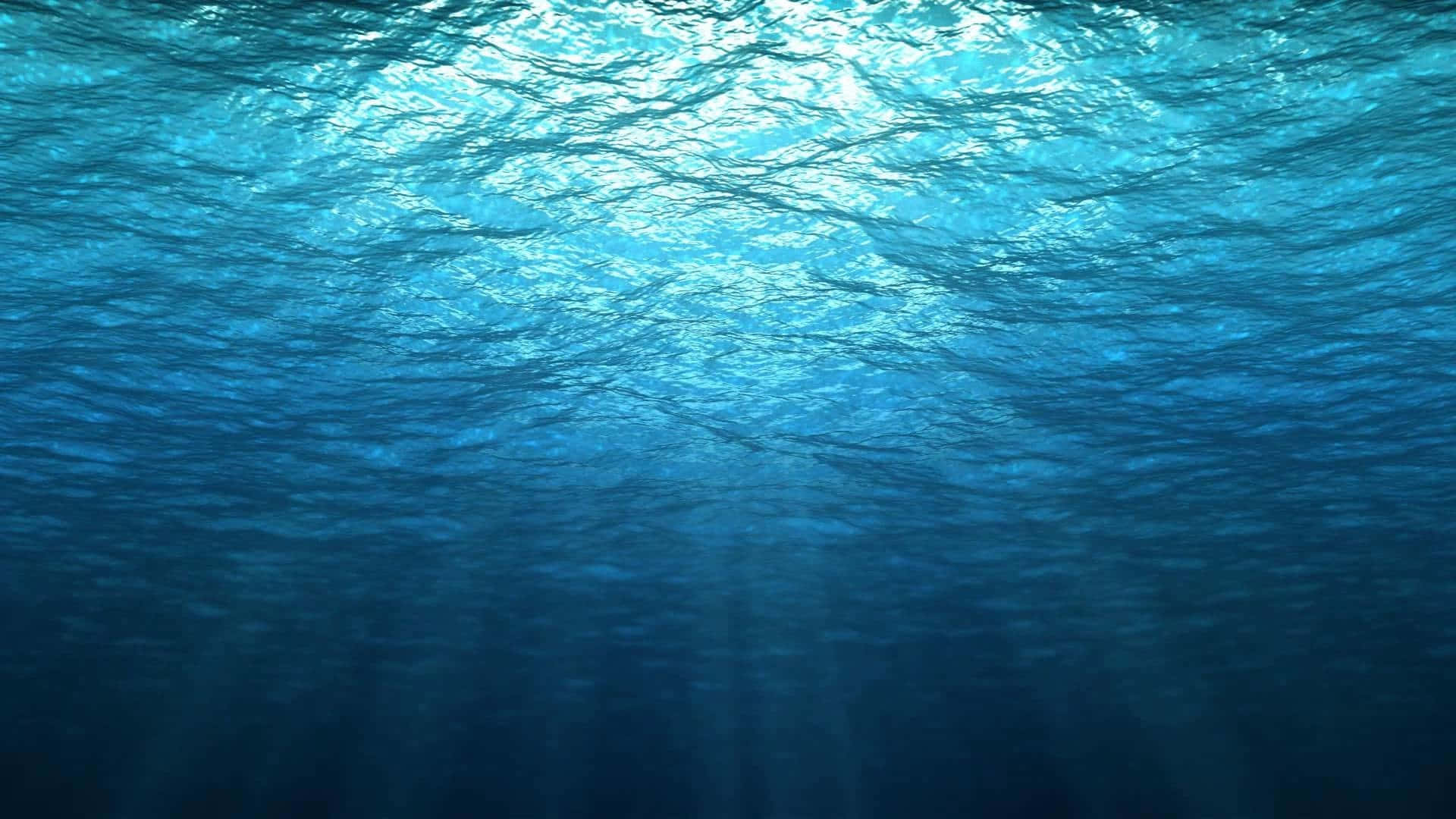 An underwater wonderland awaits