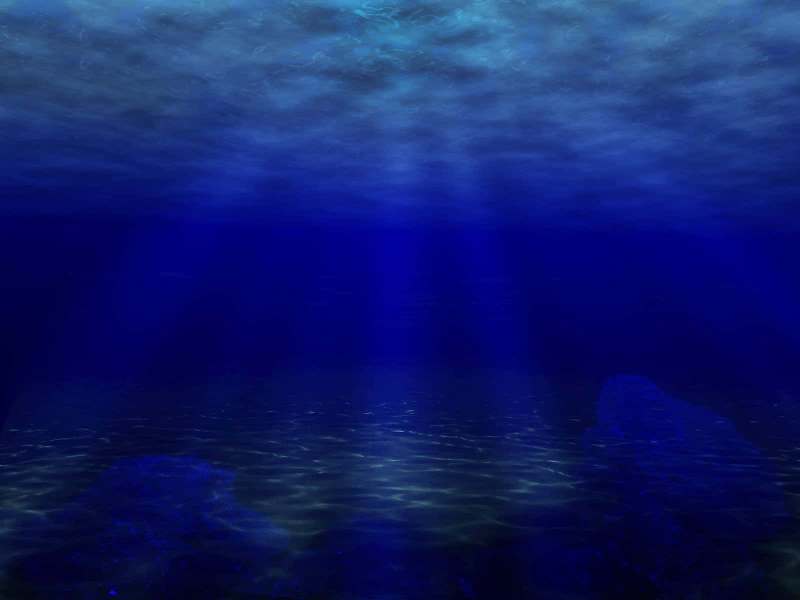 "Explore the Amazing Wonders Of the Underwater World!"