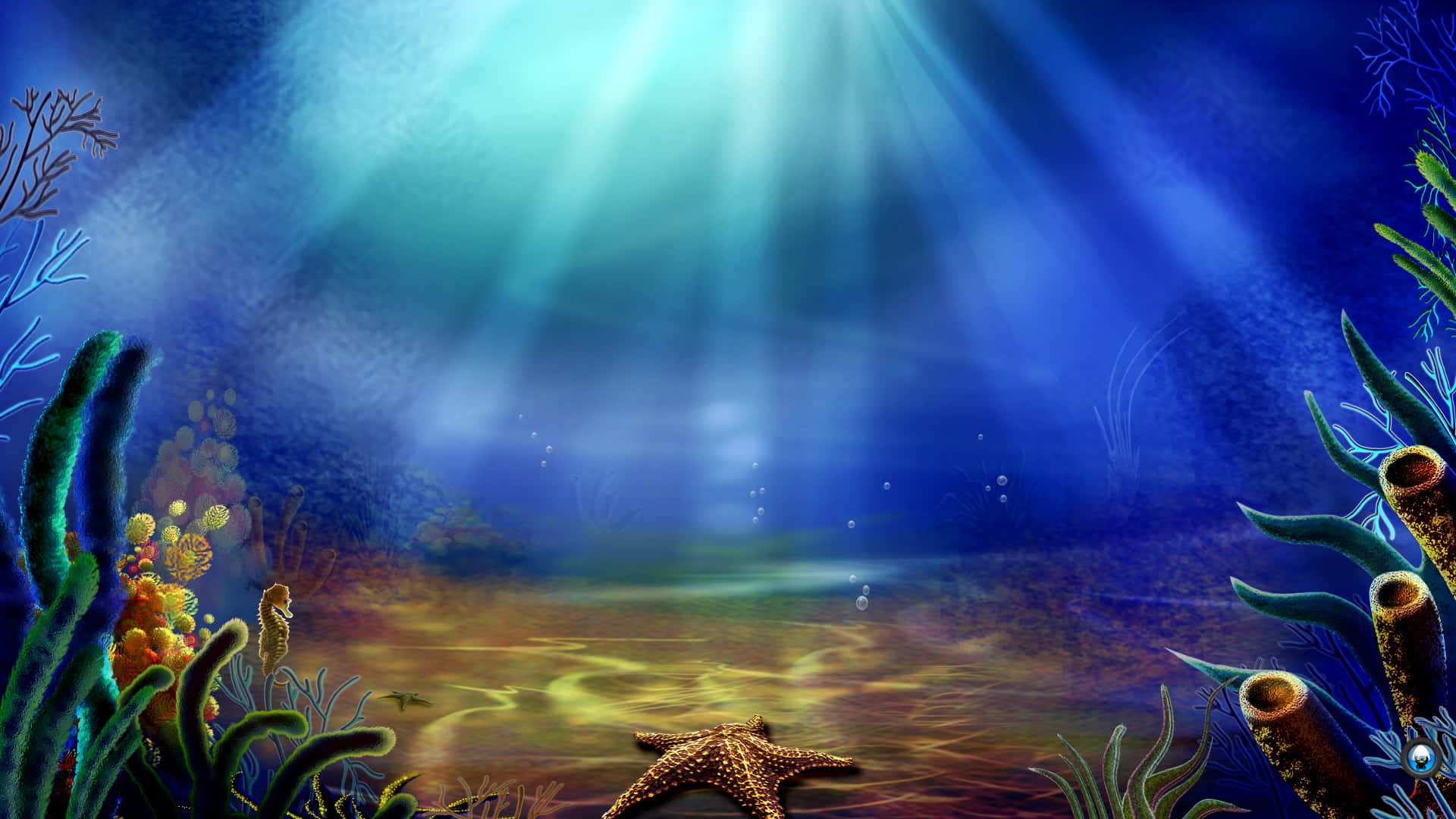Underwater Seascape With Starfish And Corals