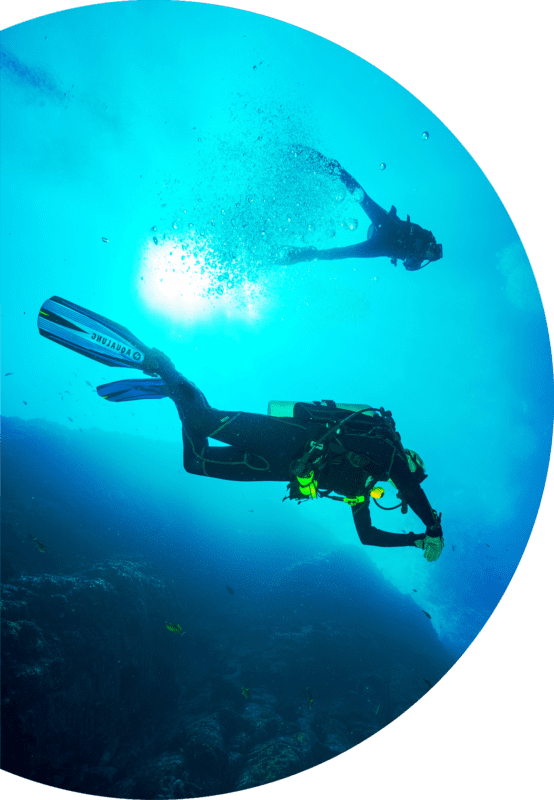 Underwater Diving Adventure.png PNG