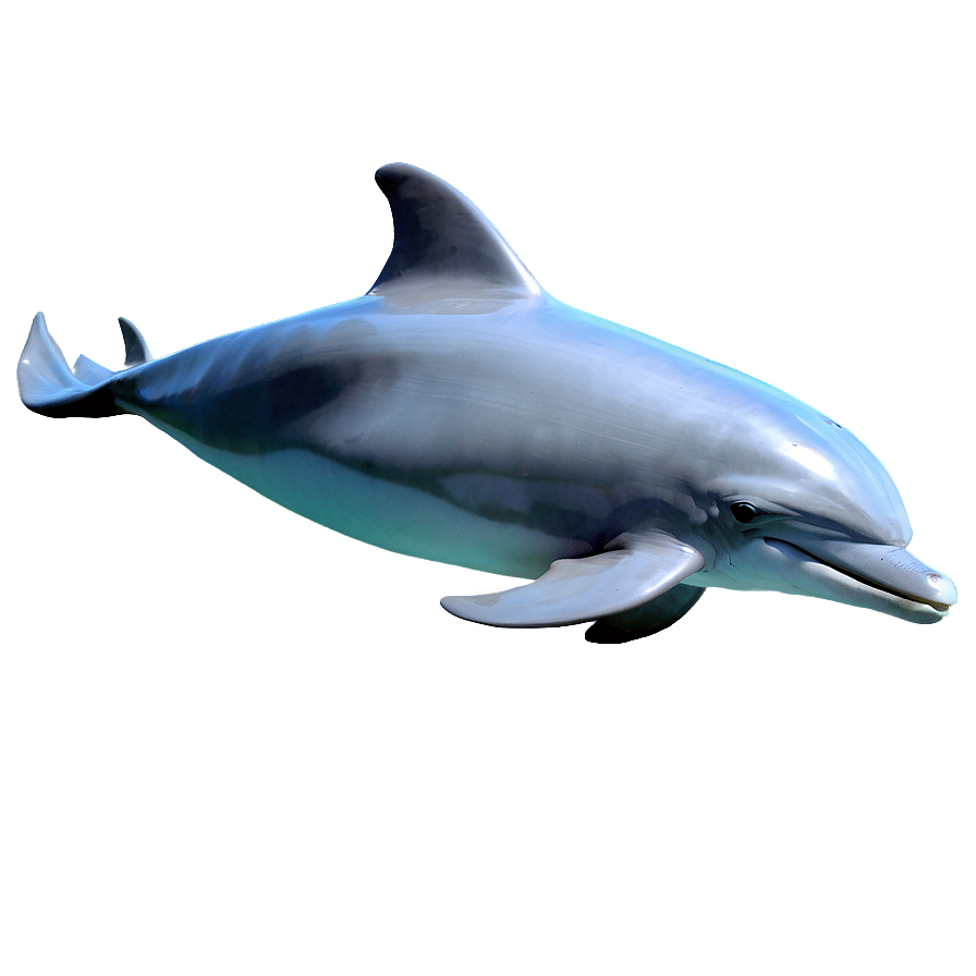 Underwater Dolphins Png 06112024 PNG
