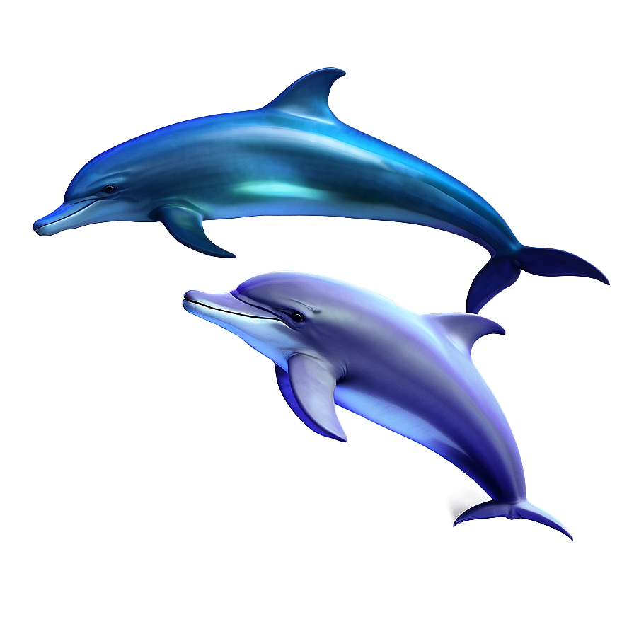 Download Underwater Dolphins Png 06112024 | Wallpapers.com