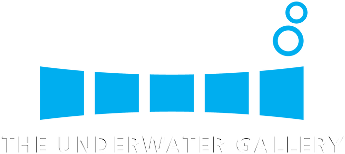 Underwater Gallery Logo Design PNG