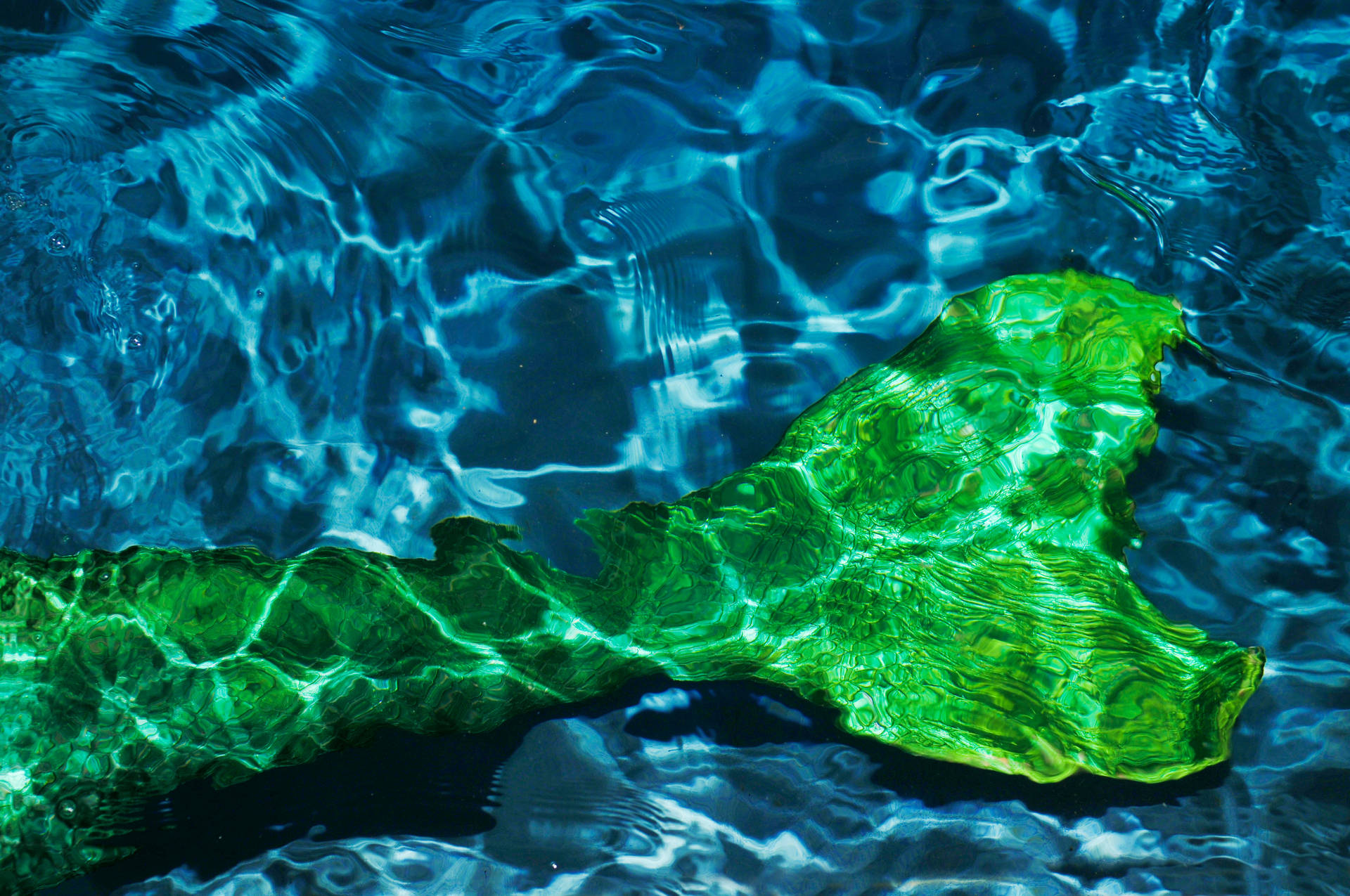 Underwater Green Mermaid Tail Wallpaper