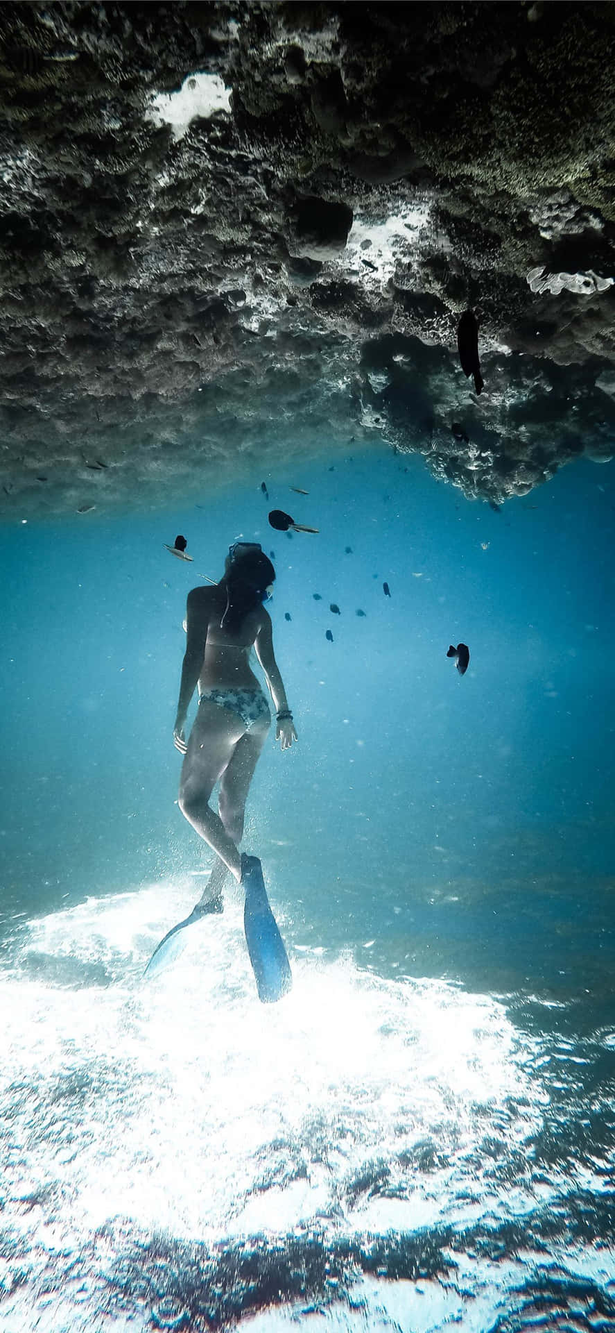 Woman Swimming With Fishes Underwater Iphone Wallpaper